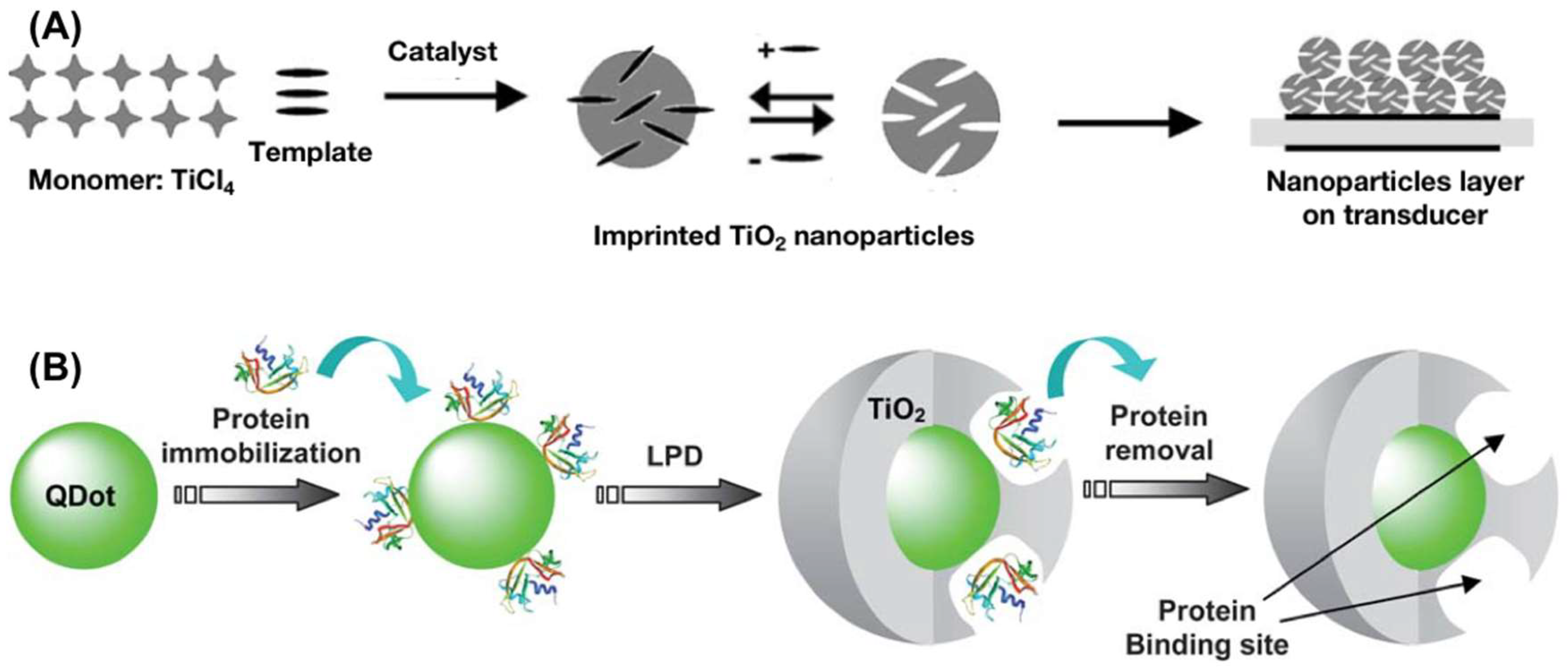 Nanomaterials 08 00257 g002 Nanomaterials 08 00257 g002