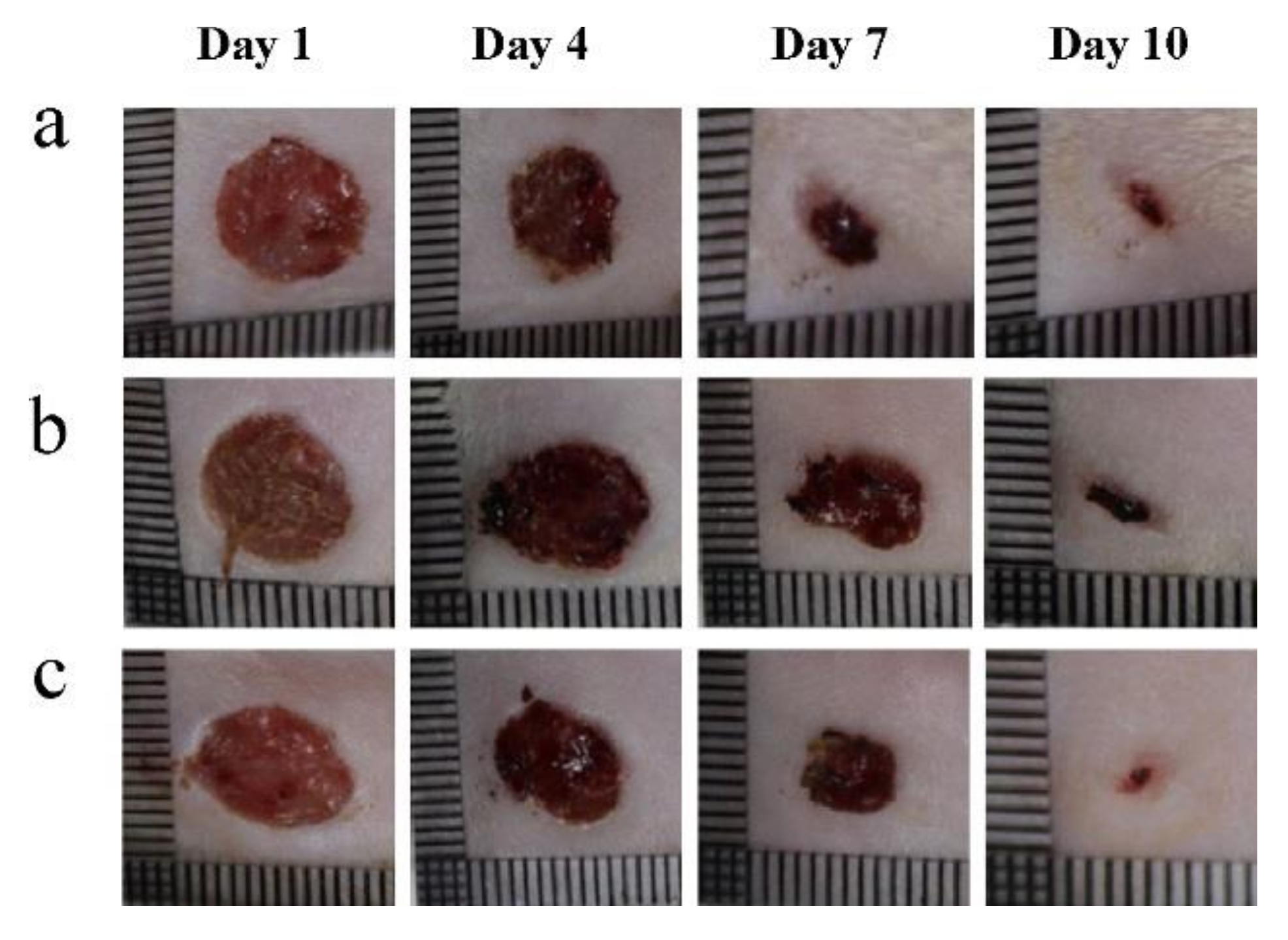 Nanomaterials 08 00259 g002 Nanomaterials 08 00259 g002
