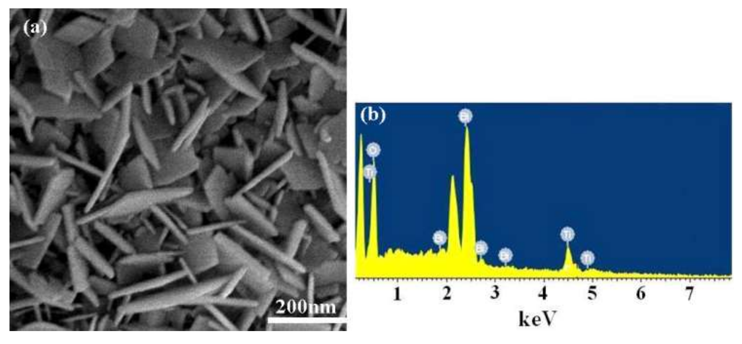Nanomaterials 08 00261 g001