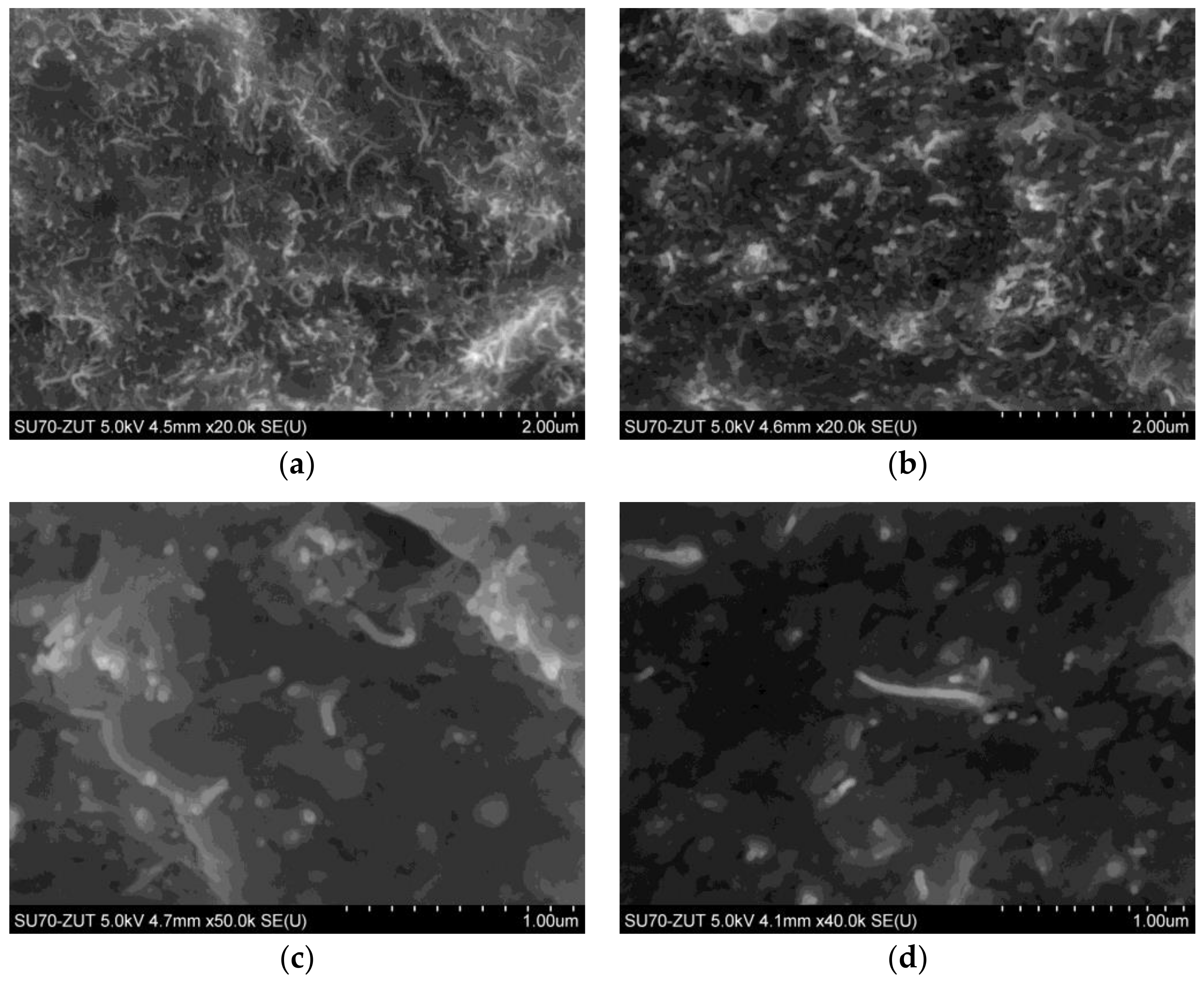 Nanomaterials 08 00264 g001