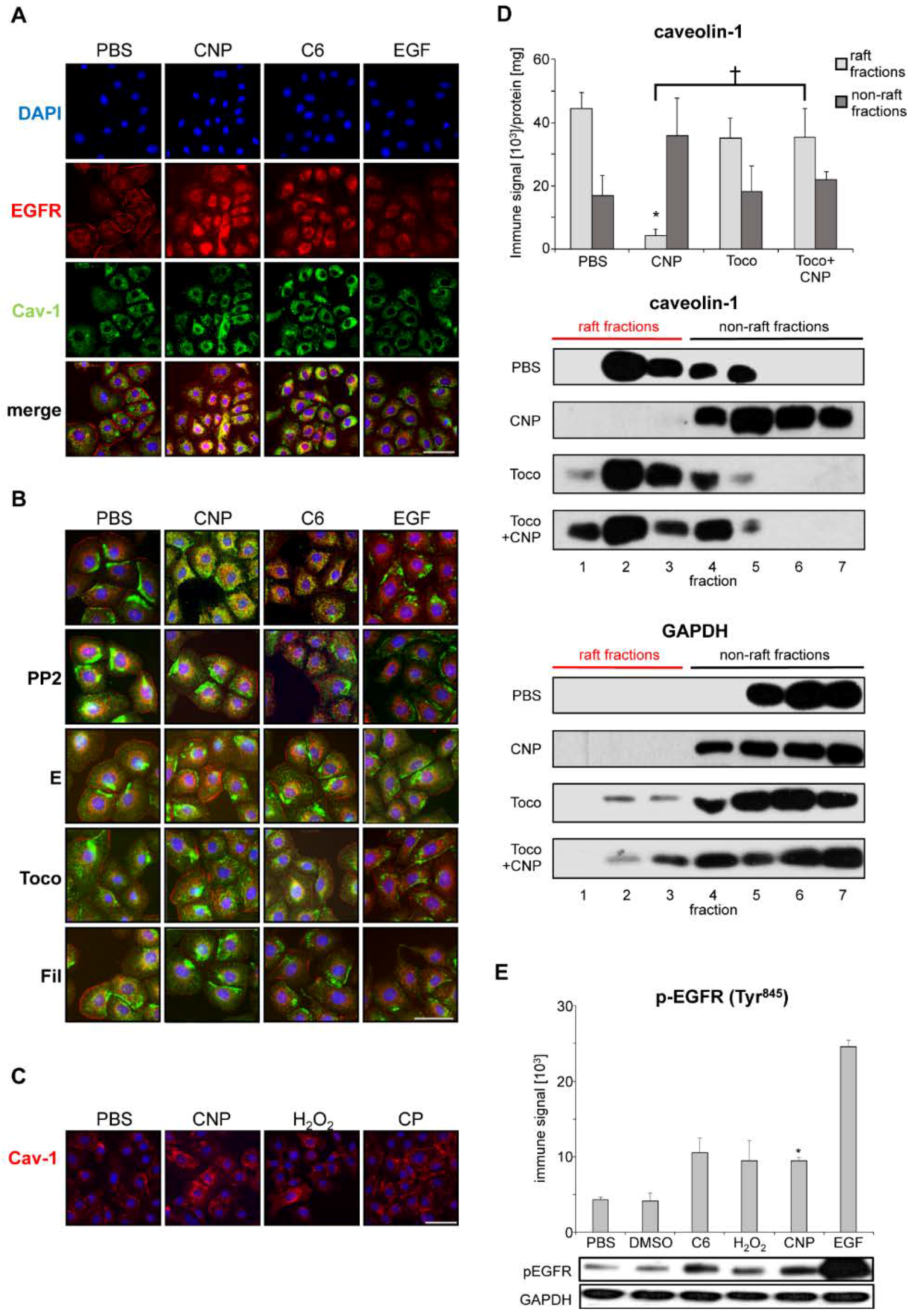 Nanomaterials 08 00267 g001