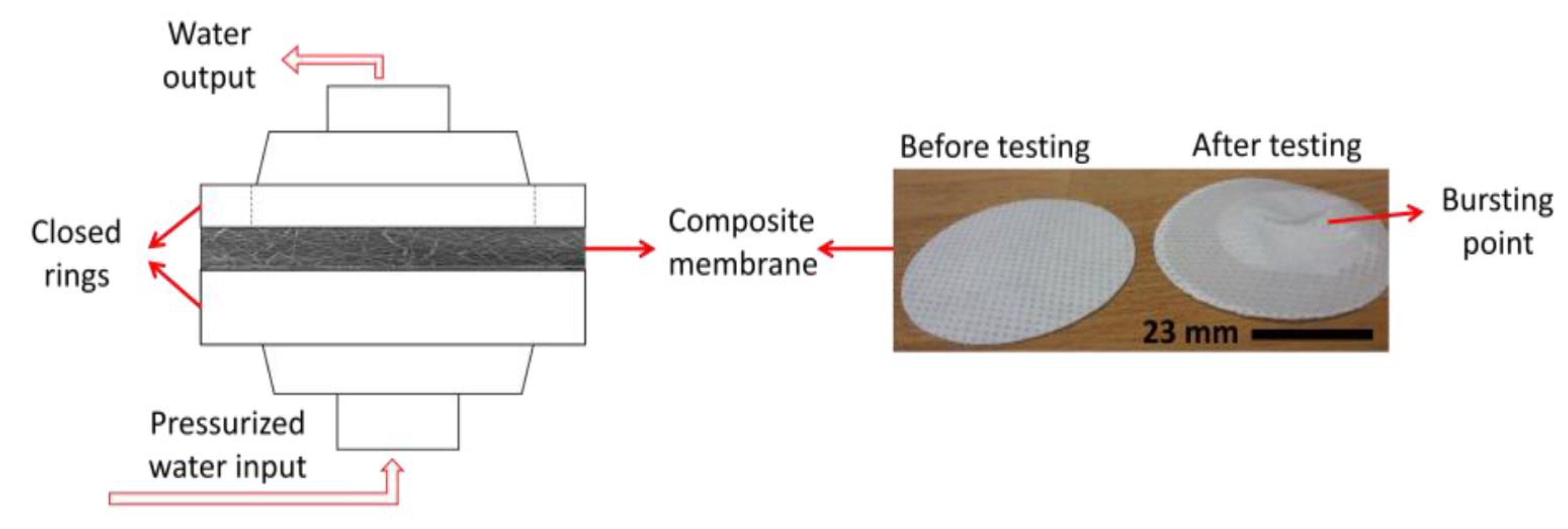 Nanomaterials 08 00272 g005