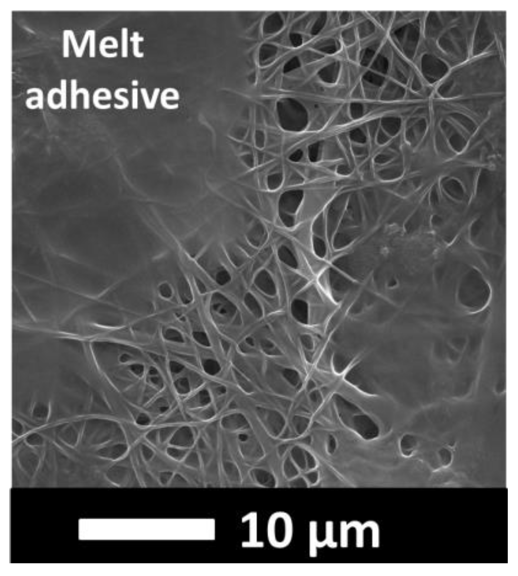 Nanomaterials 08 00272 g010