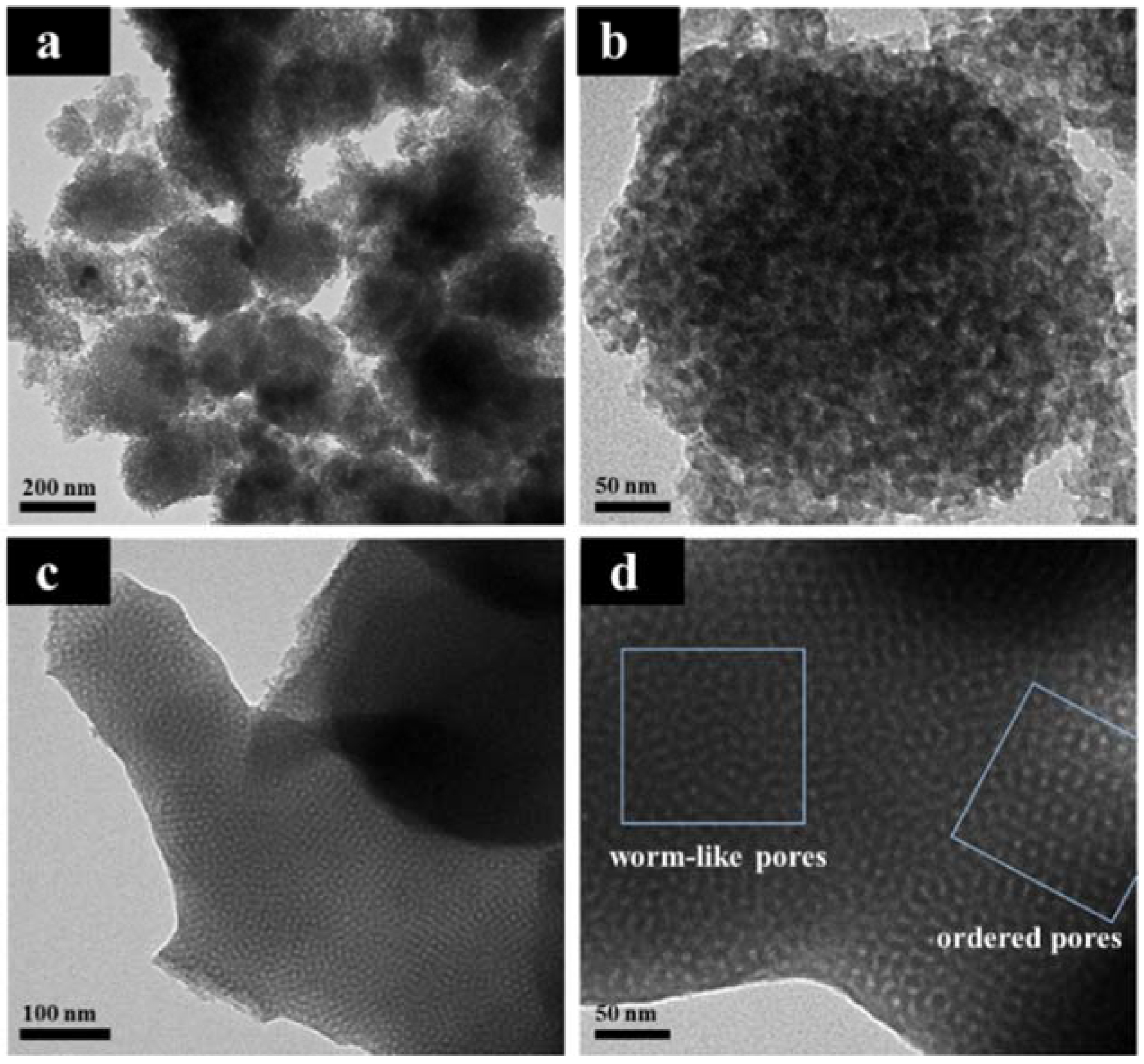 Nanomaterials 08 00275 g003