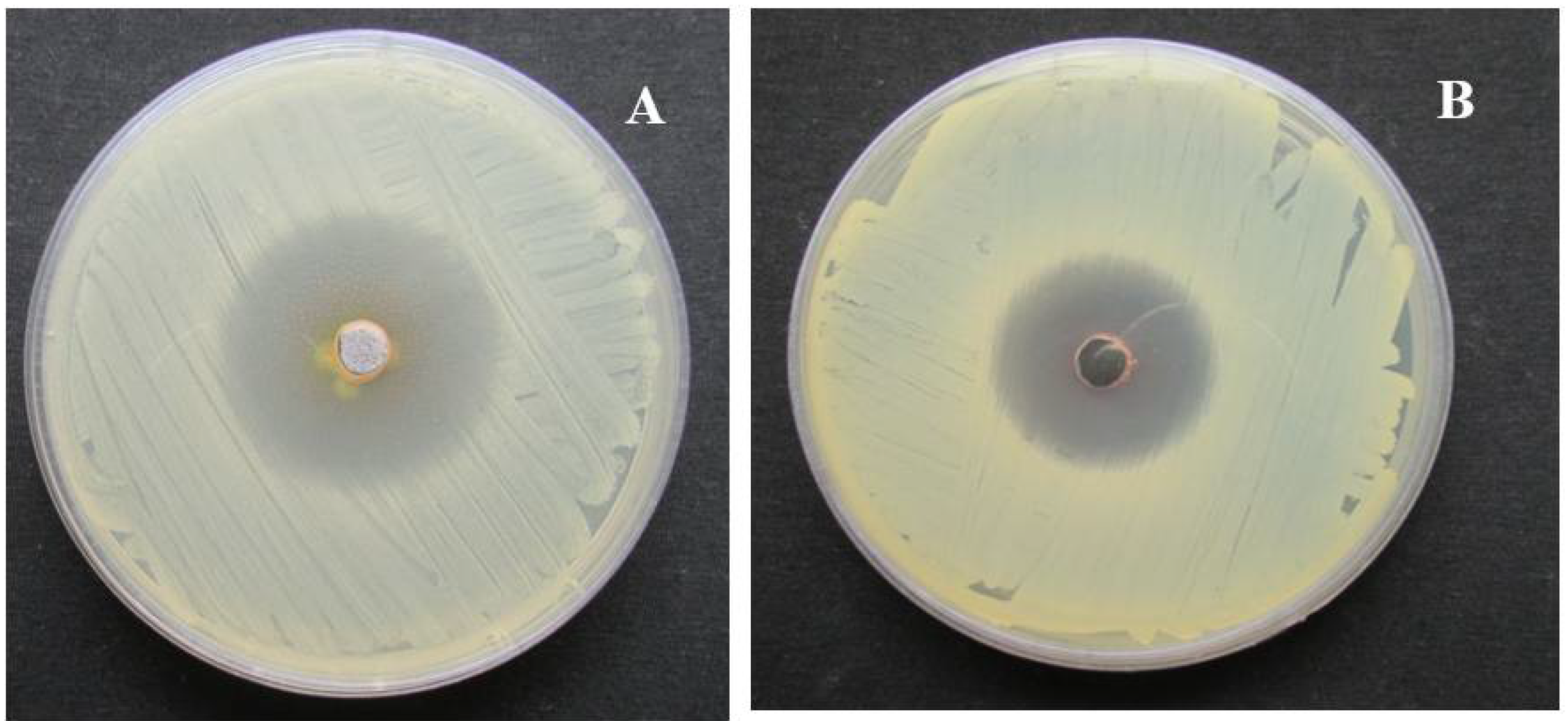 Nanomaterials 08 00279 g009 Nanomaterials 08 00279 g009