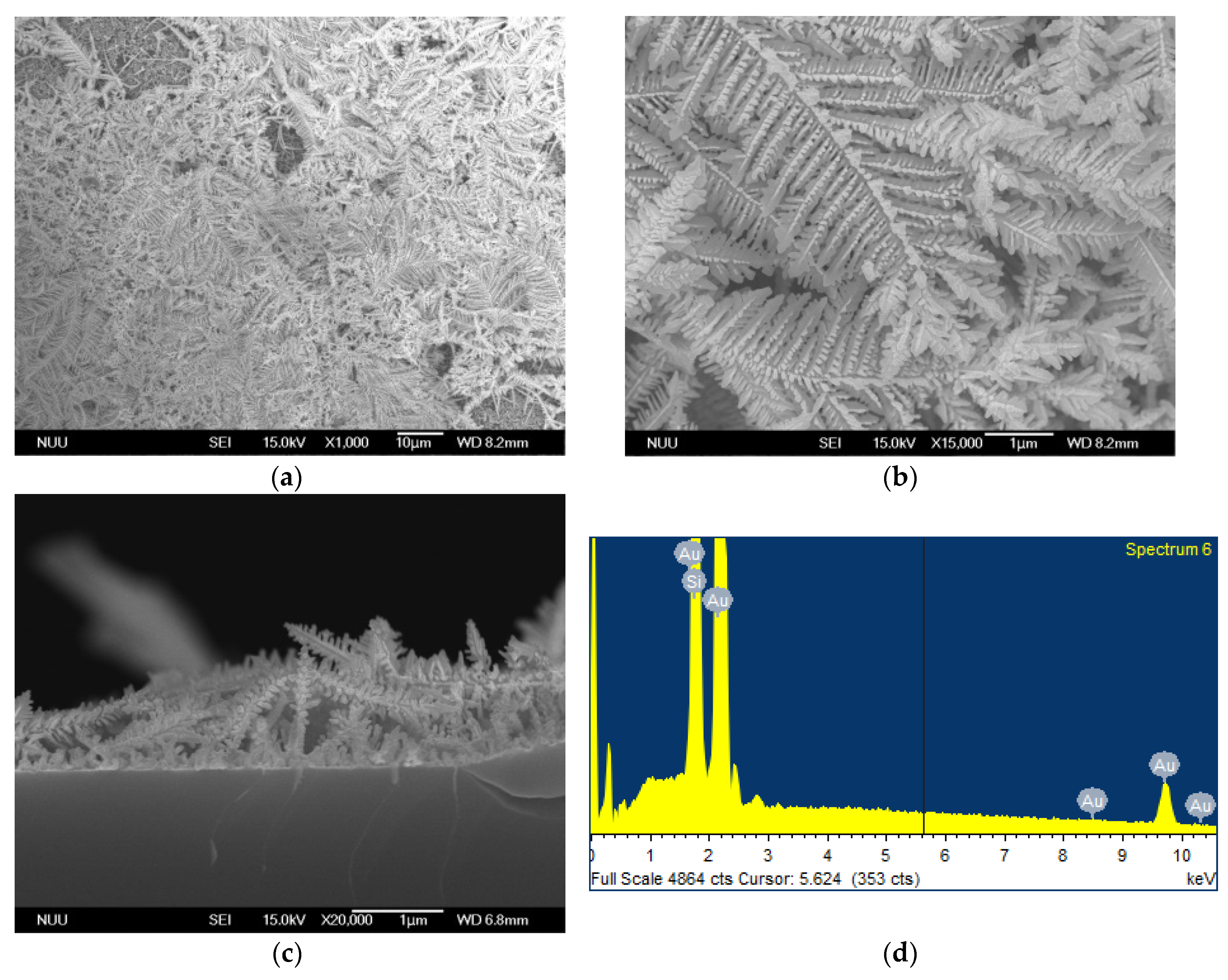 Nanomaterials 08 00282 g001