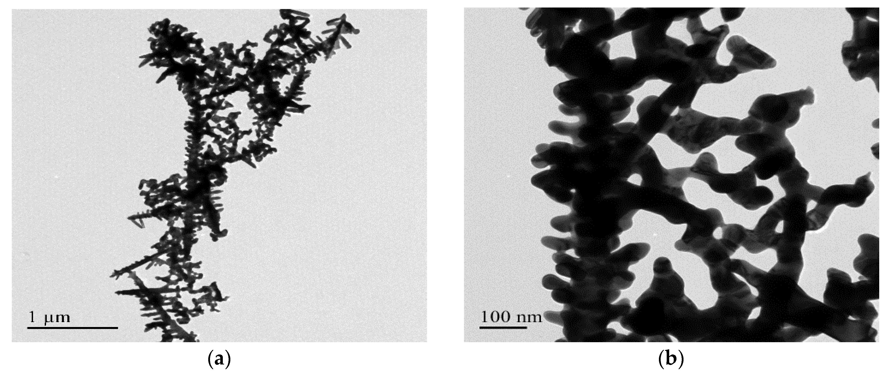 Nanomaterials 08 00282 g003a