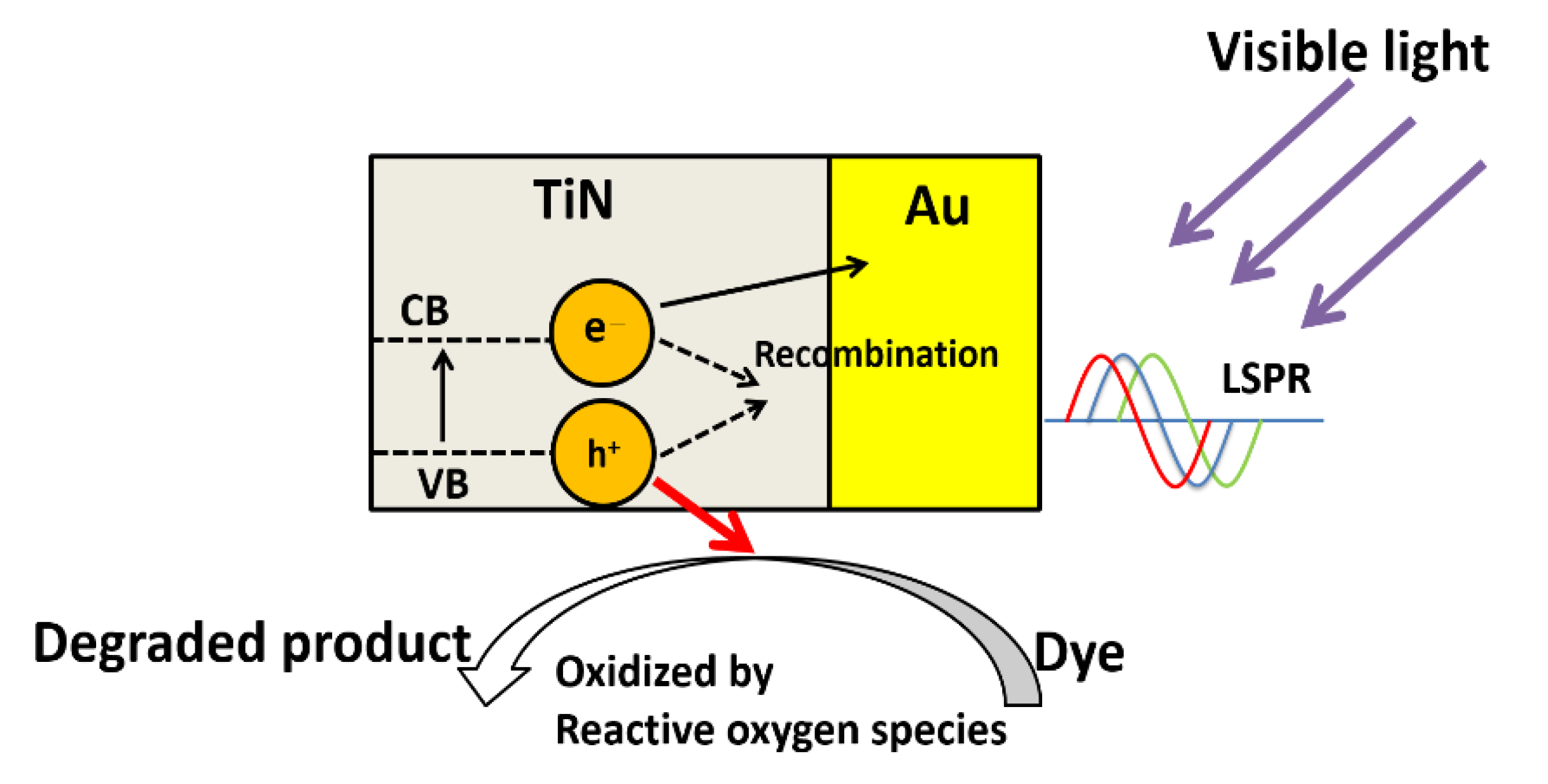 Nanomaterials 08 00282 g012