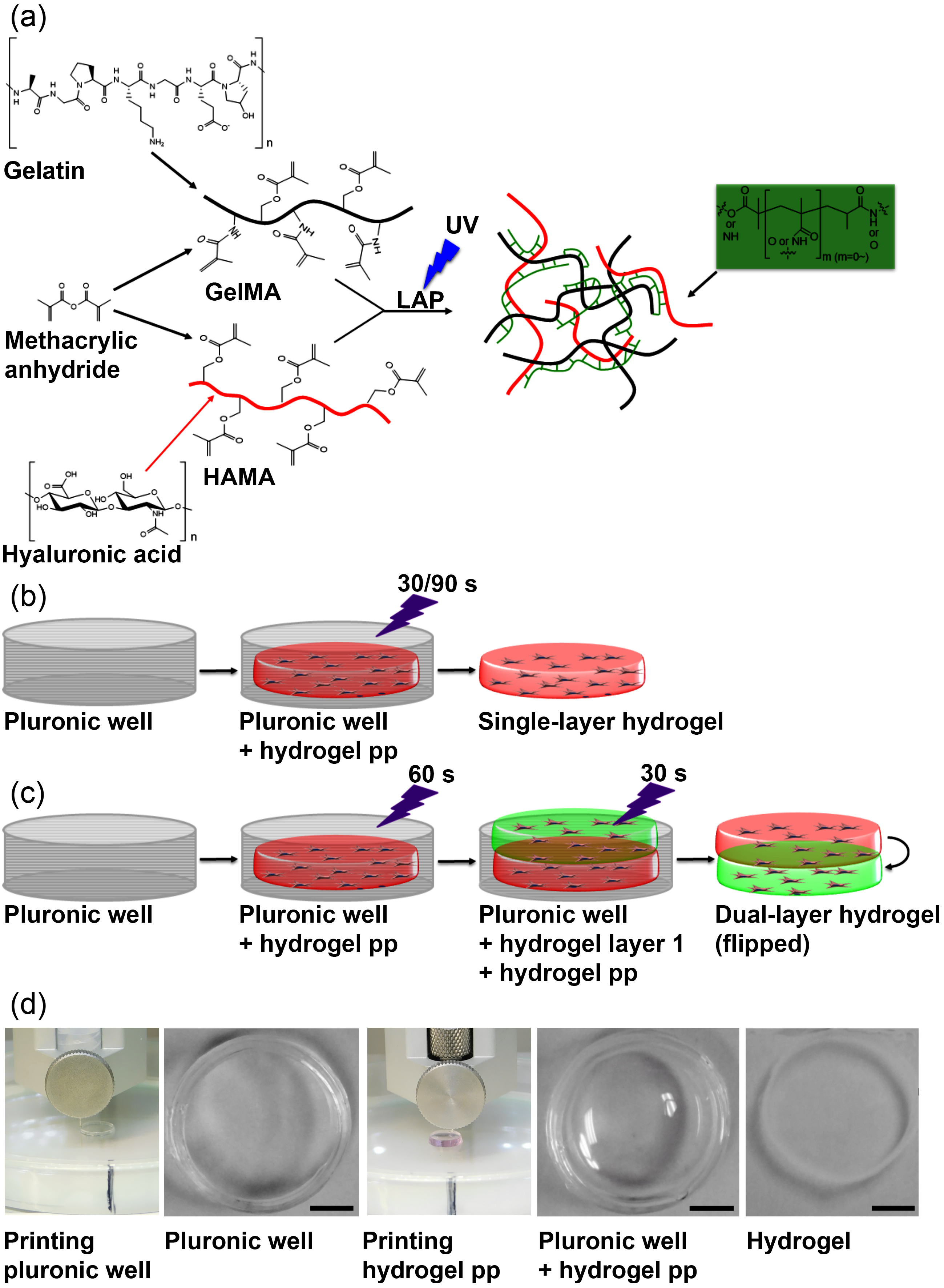 Nanomaterials 08 00296 g002
