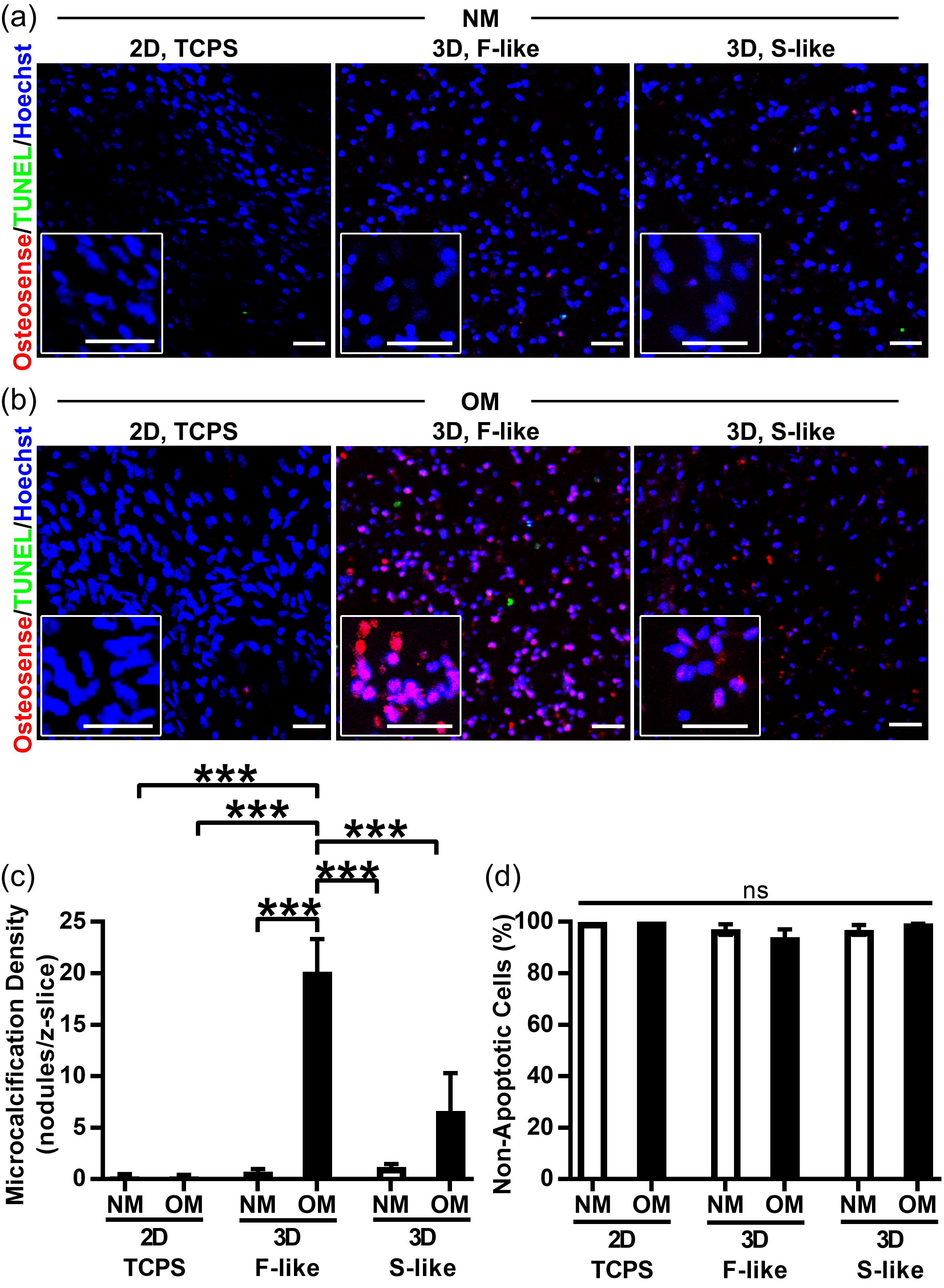 Nanomaterials 08 00296 g005
