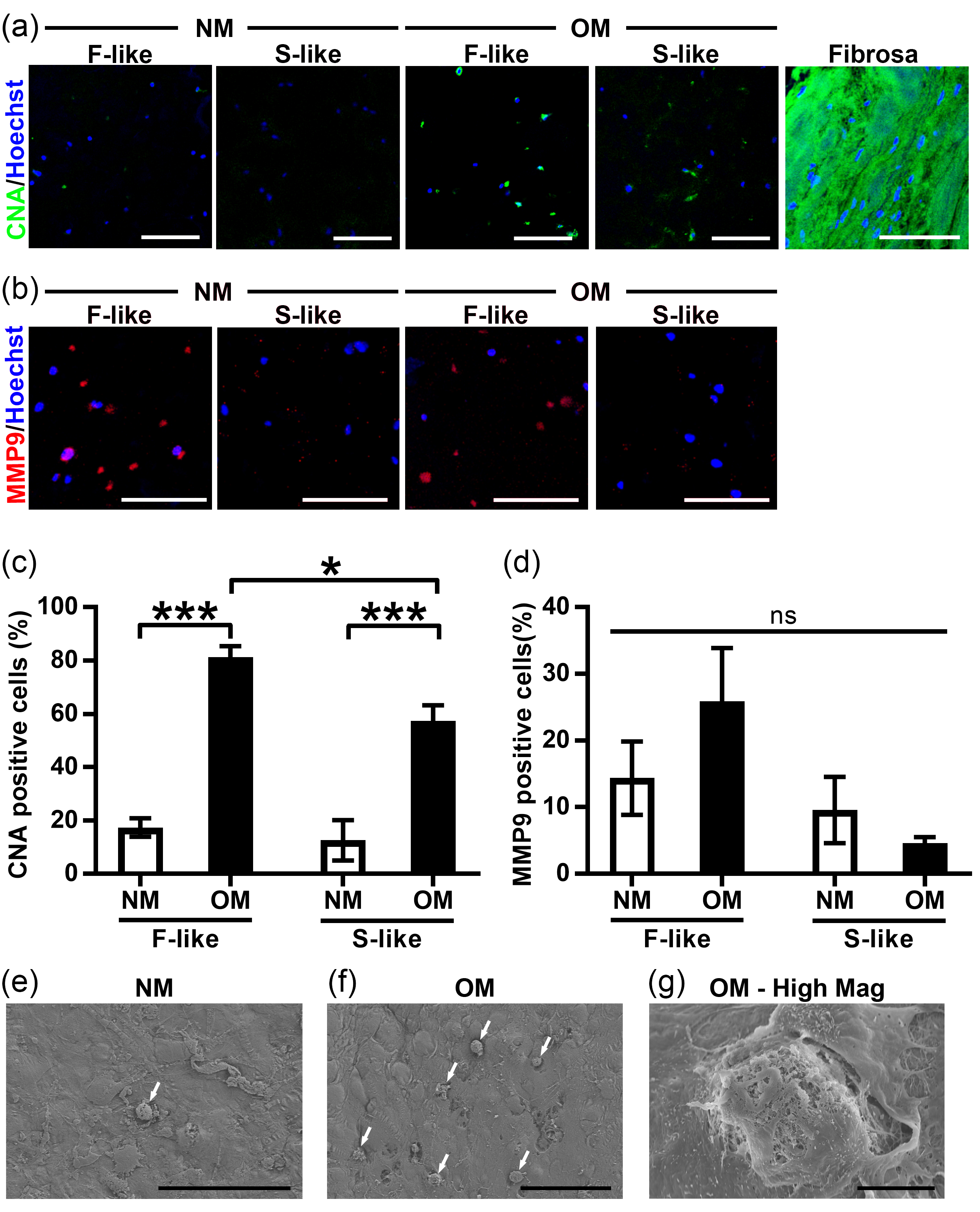 Nanomaterials 08 00296 g006