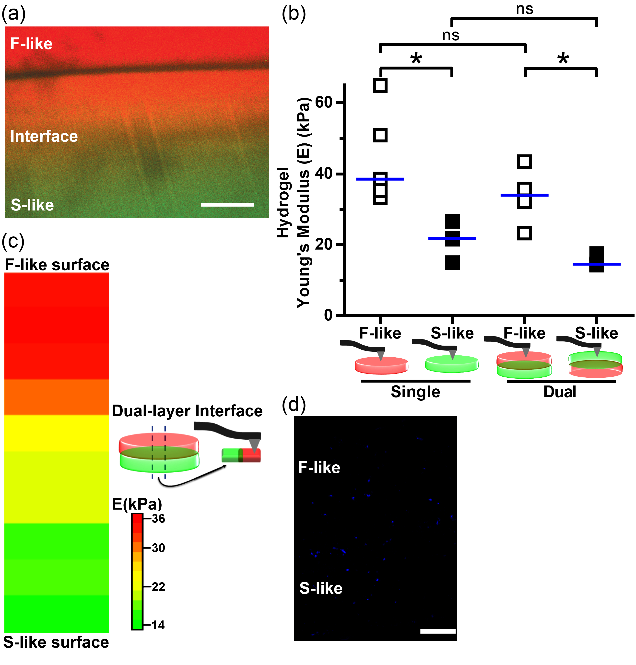 Nanomaterials 08 00296 g007