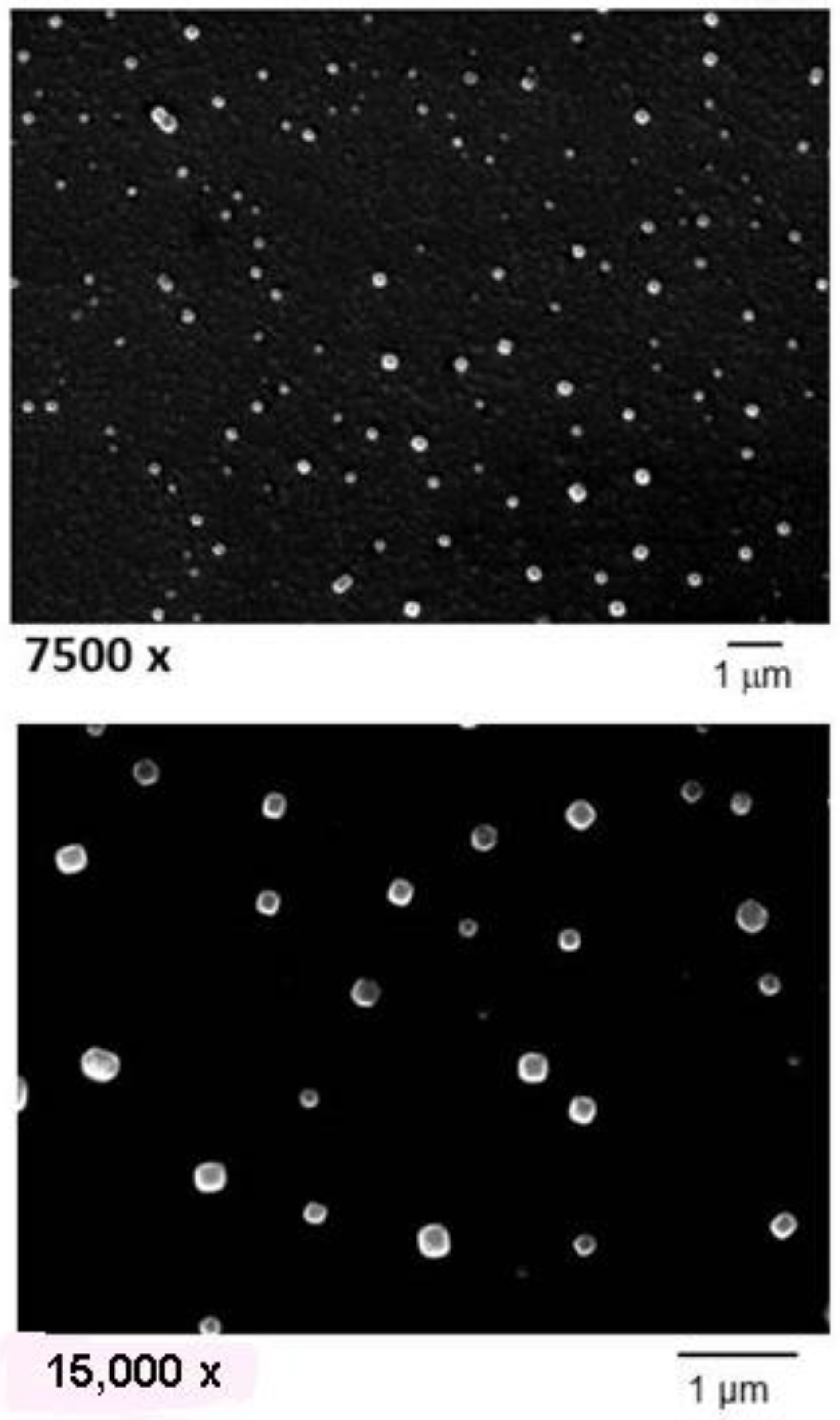 Nanomaterials 08 00304 g001b Nanomaterials 08 00304 g001b
