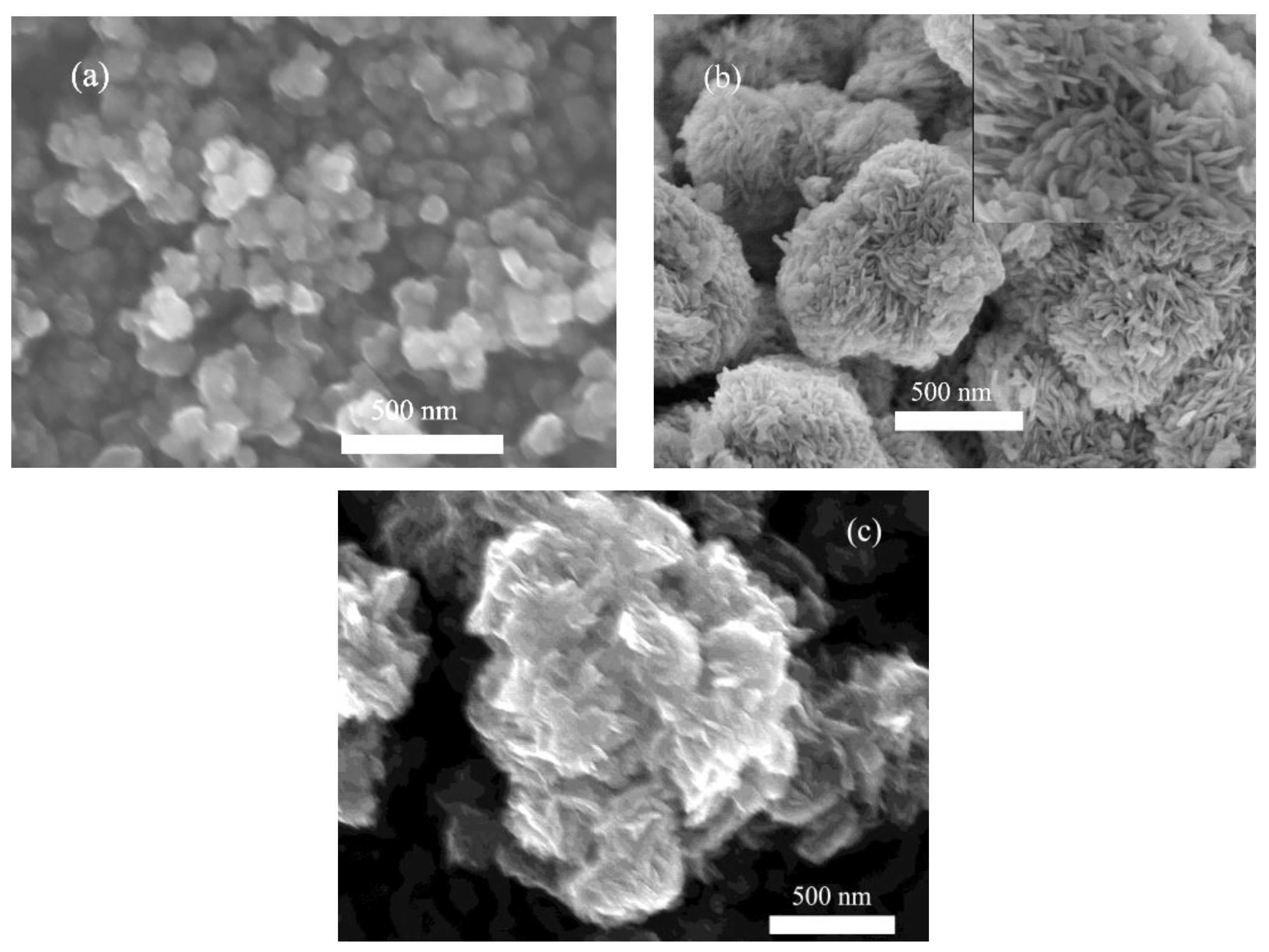 Nanomaterials 08 00313 g001 550