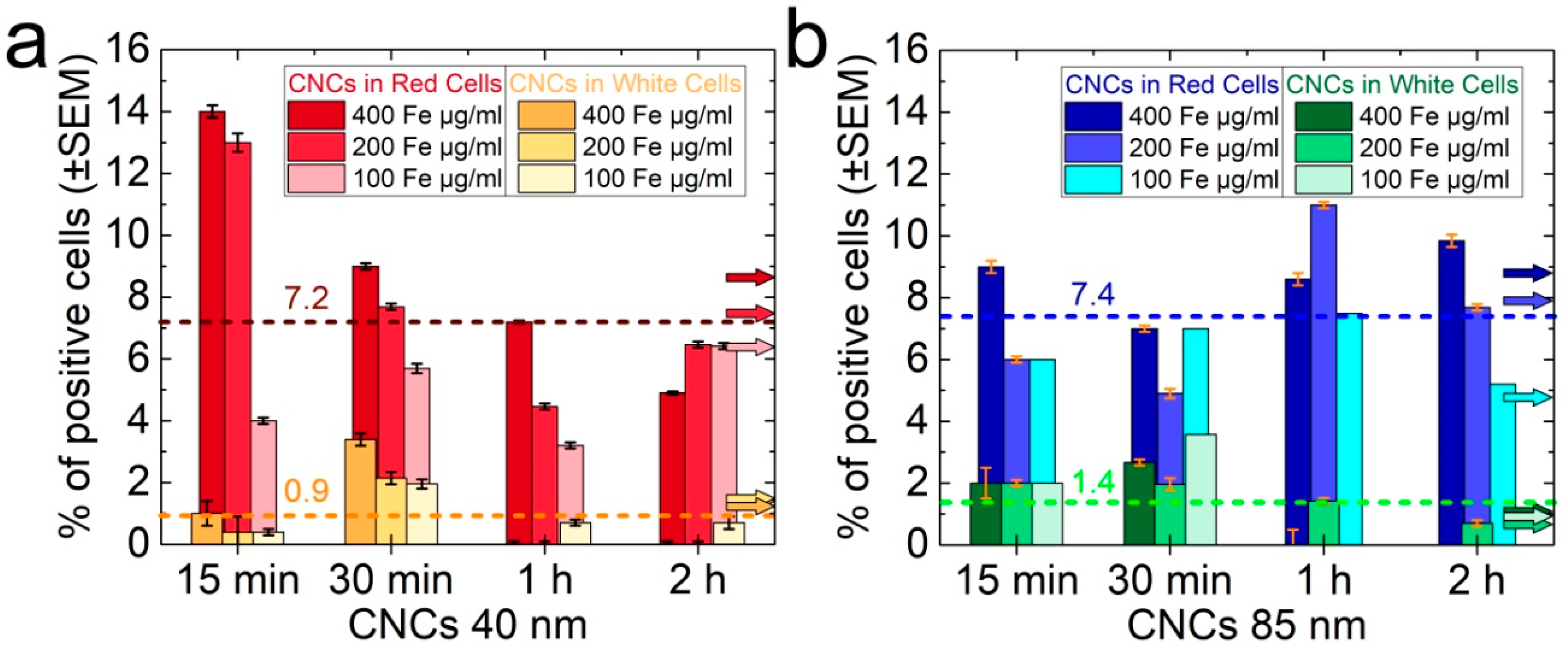 Nanomaterials 08 00315 g006