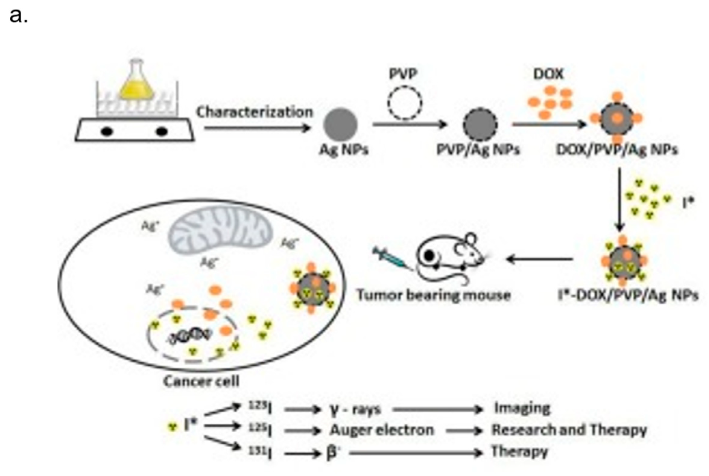 Nanomaterials 08 00319 g005a