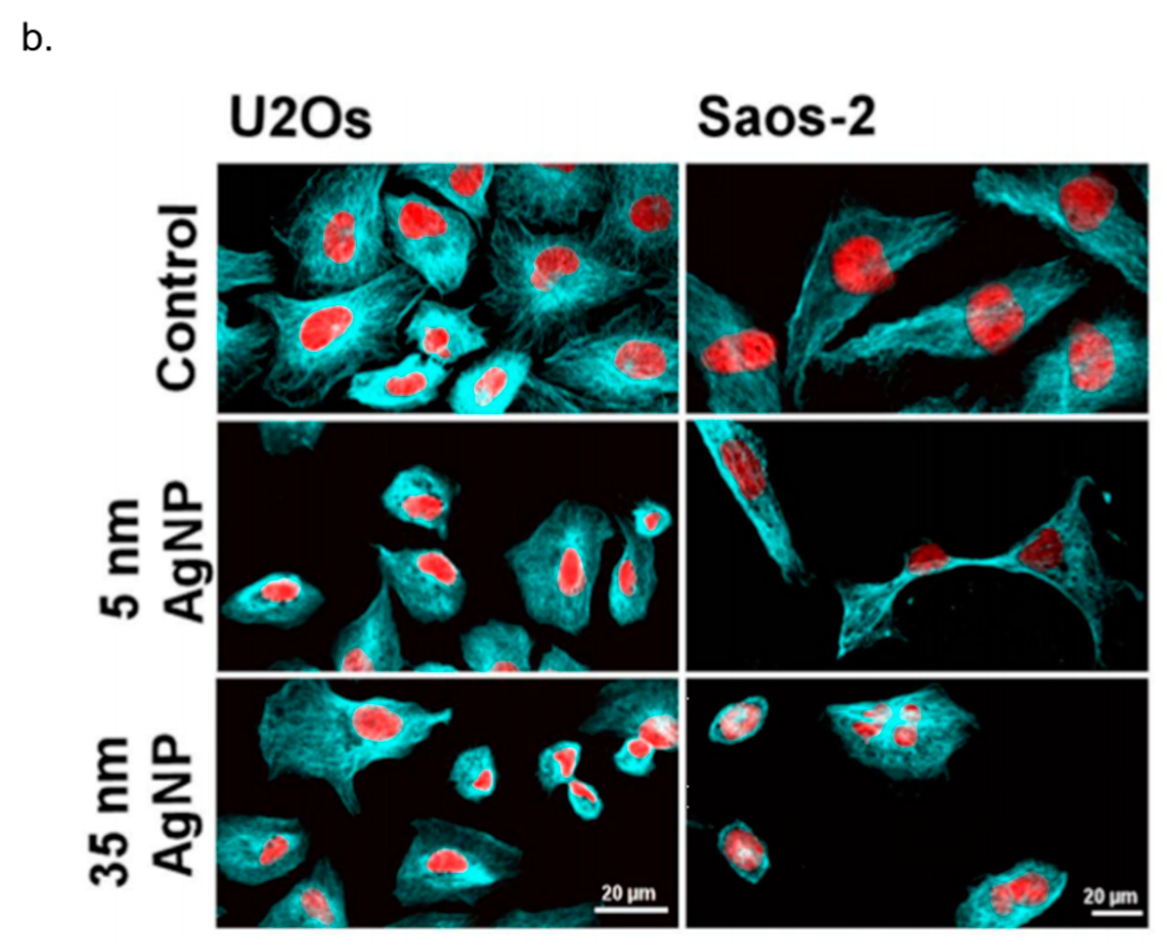 Nanomaterials 08 00319 g005b