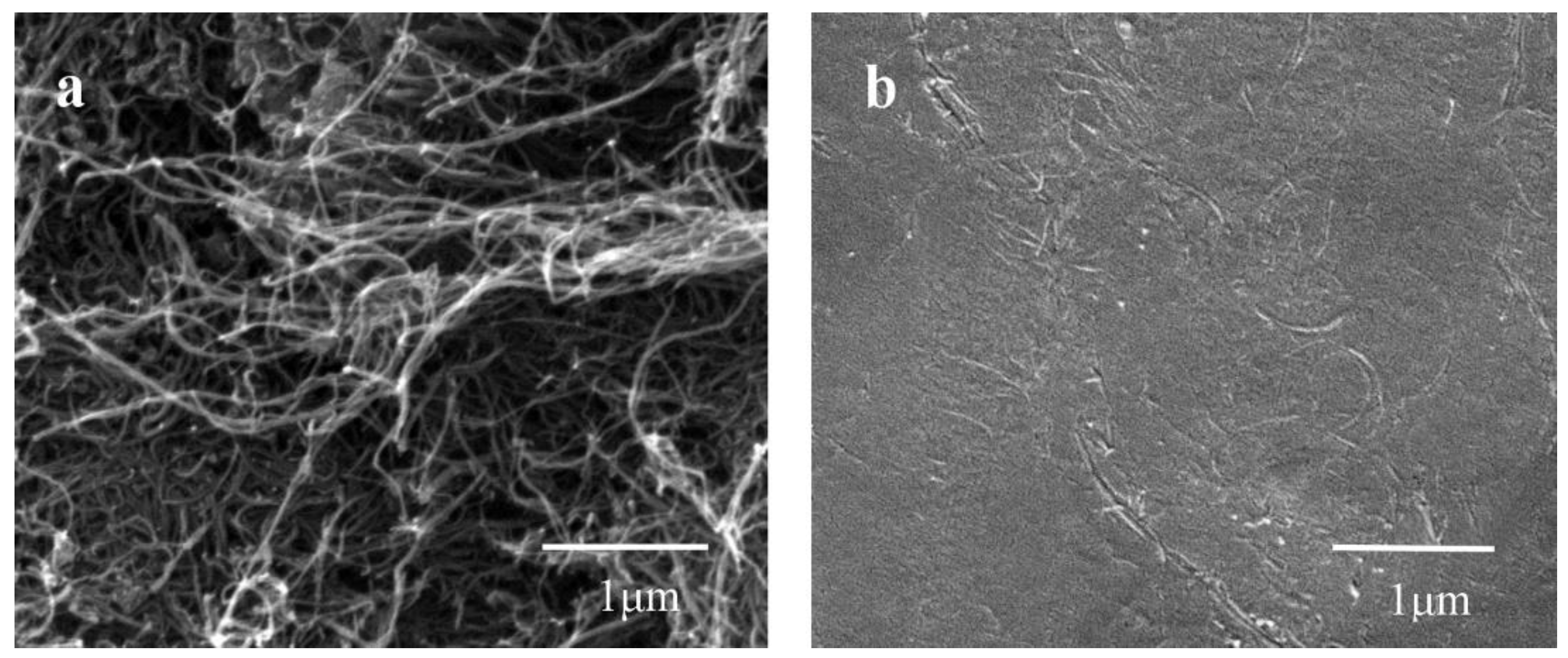 Nanomaterials 08 00335 g001