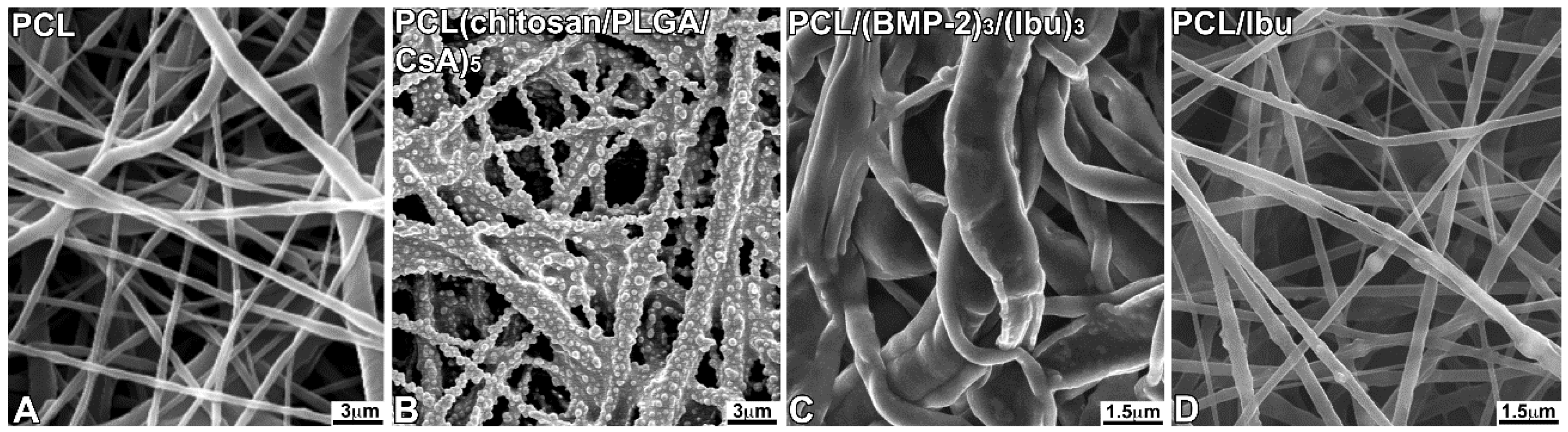 Nanomaterials 08 00337 g001