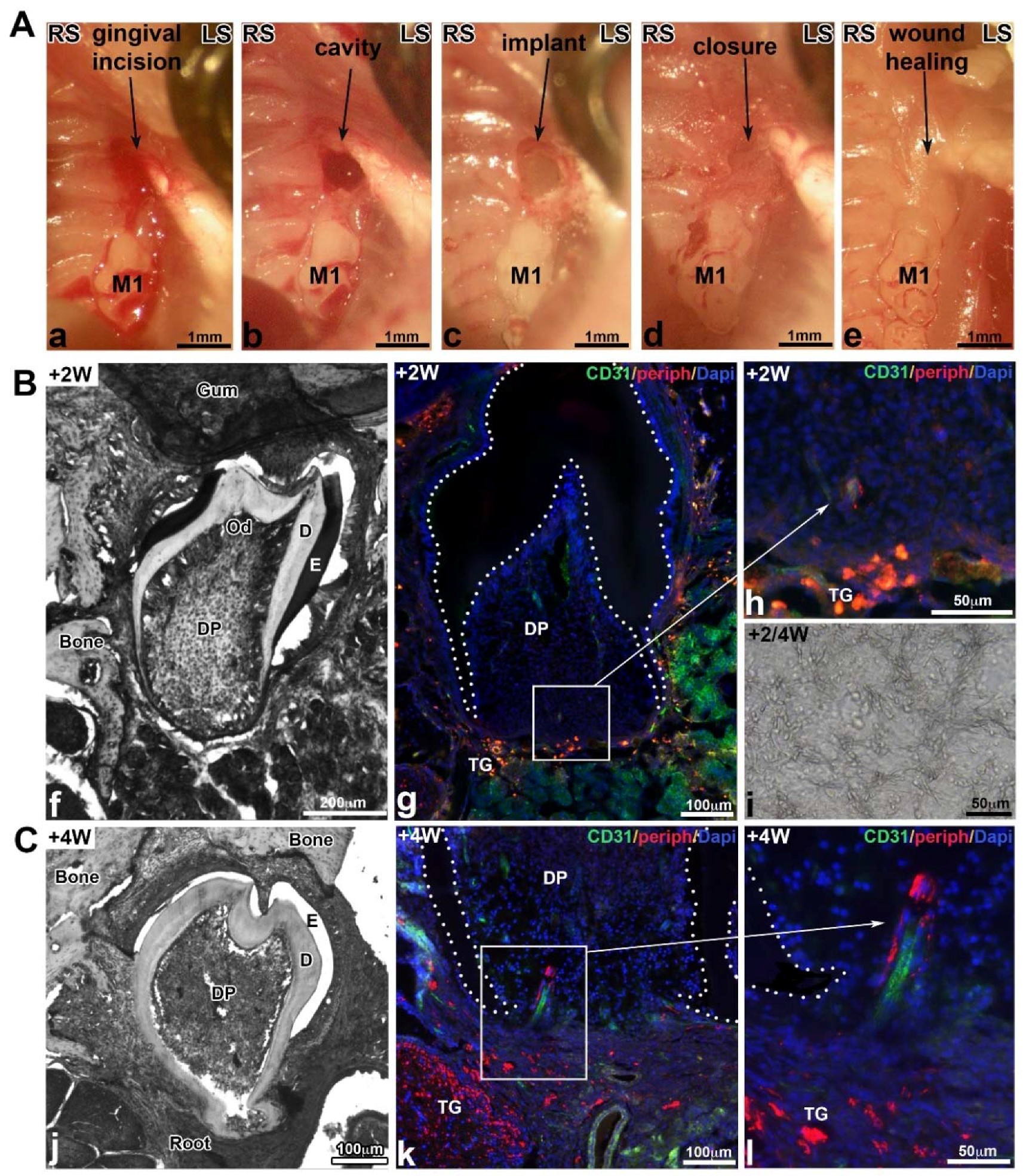 Nanomaterials 08 00337 g006