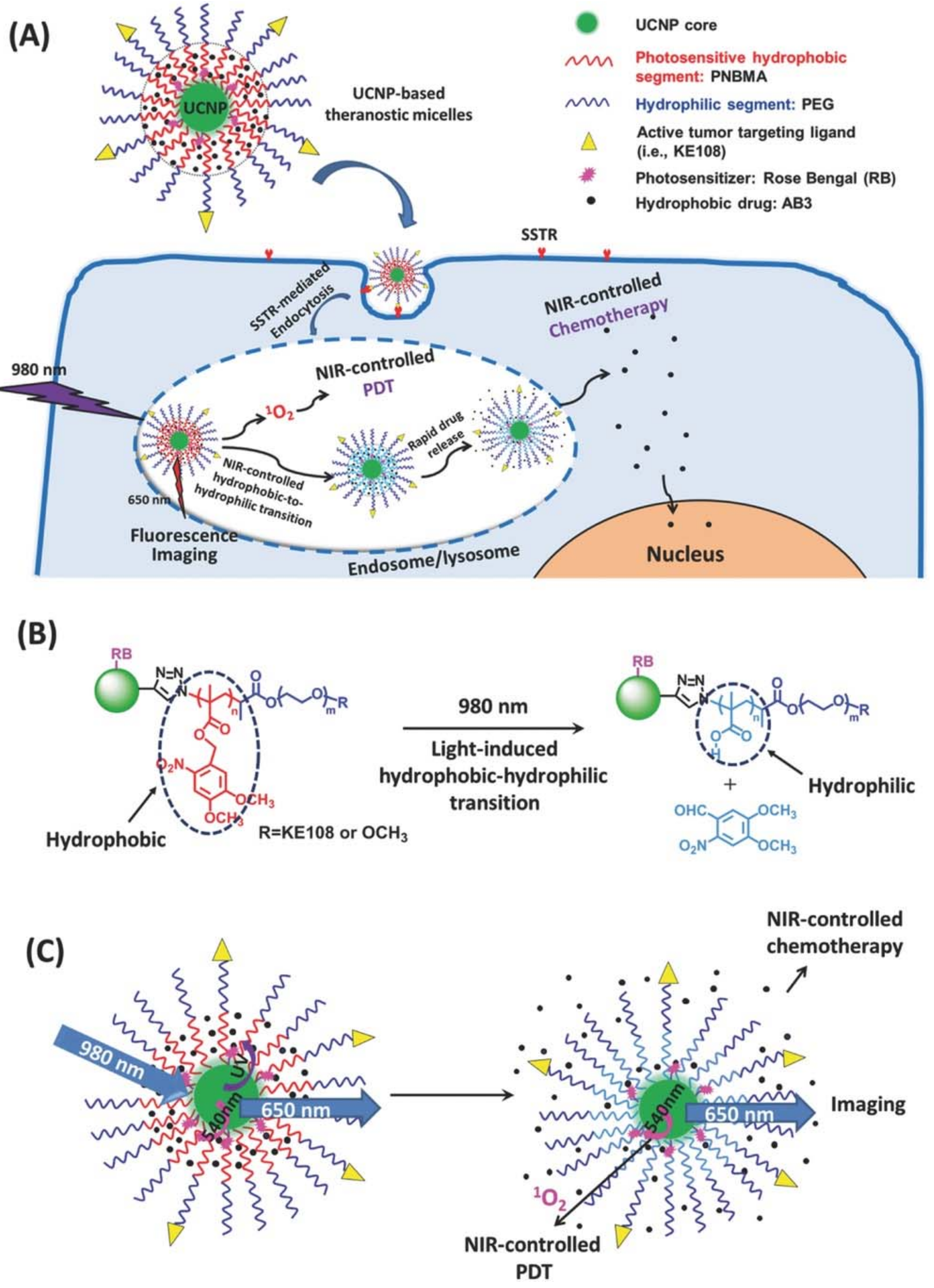 Nanomaterials 08 00344 g004