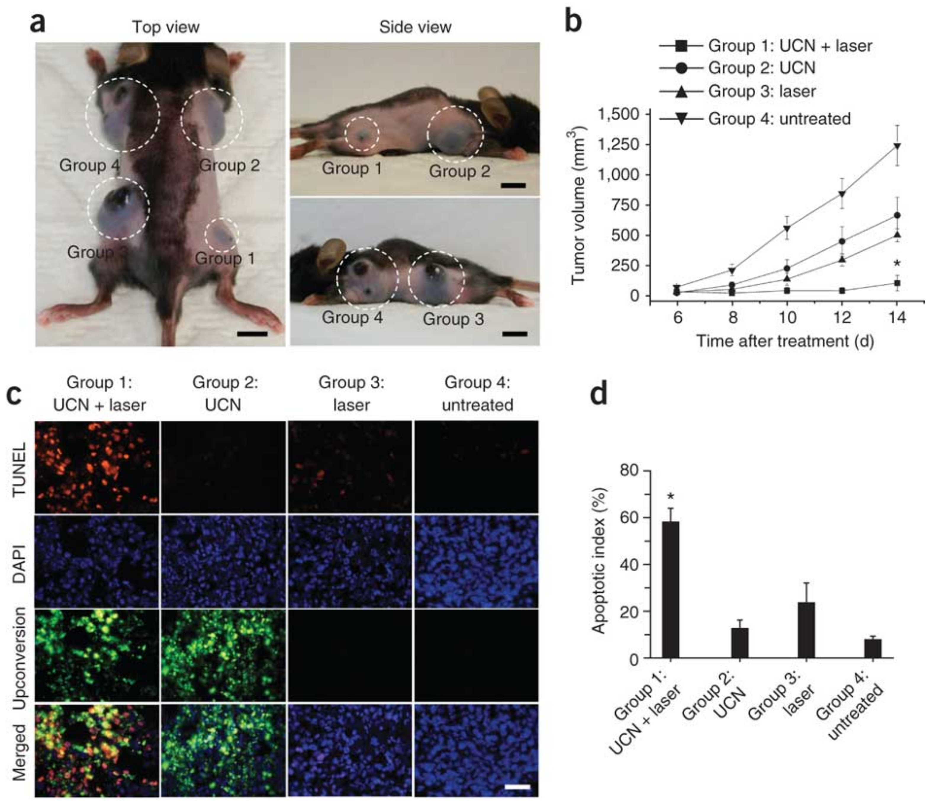 Nanomaterials 08 00344 g009
