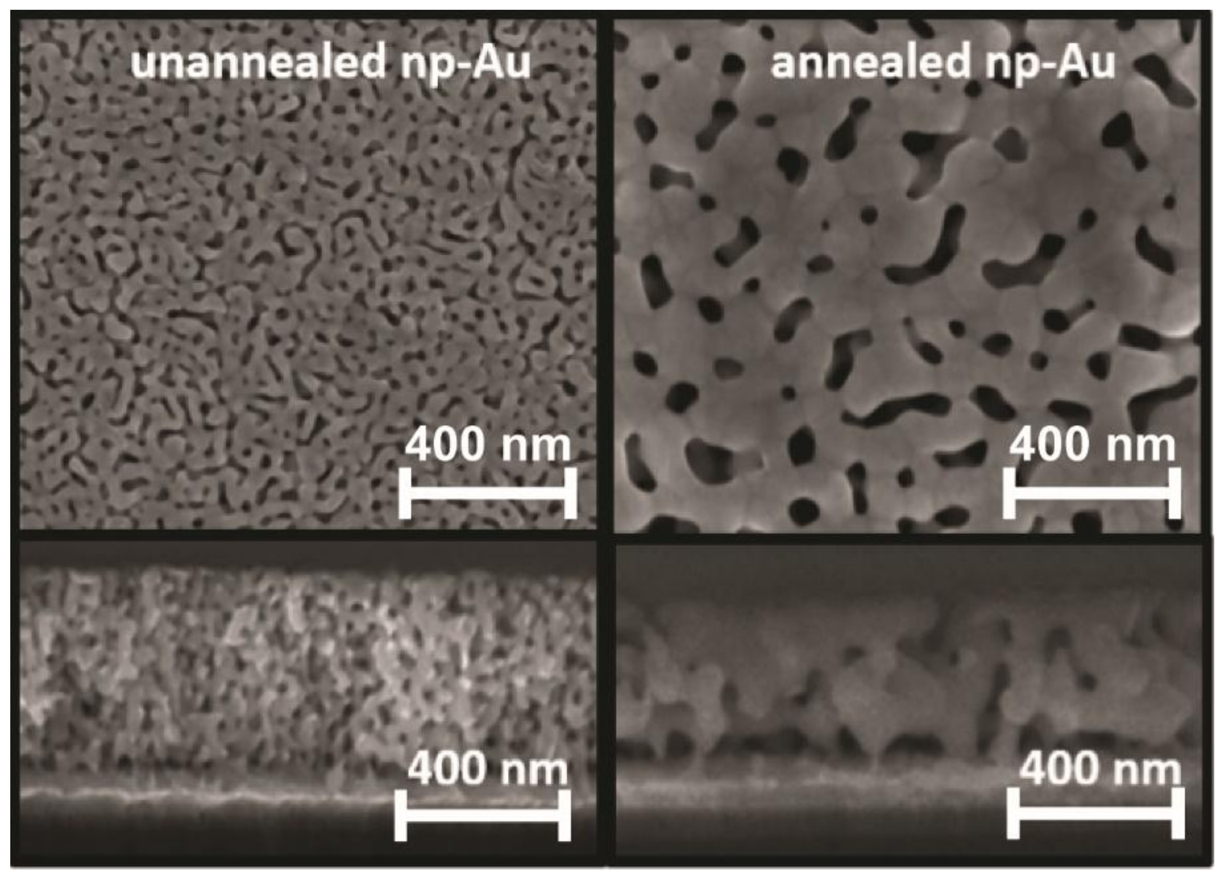 Nanomaterials 08 00351 g002
