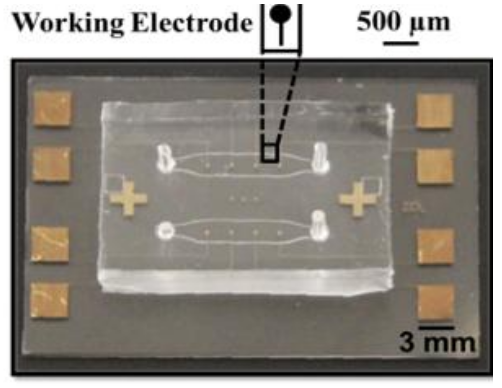 Nanomaterials 08 00351 g0a1