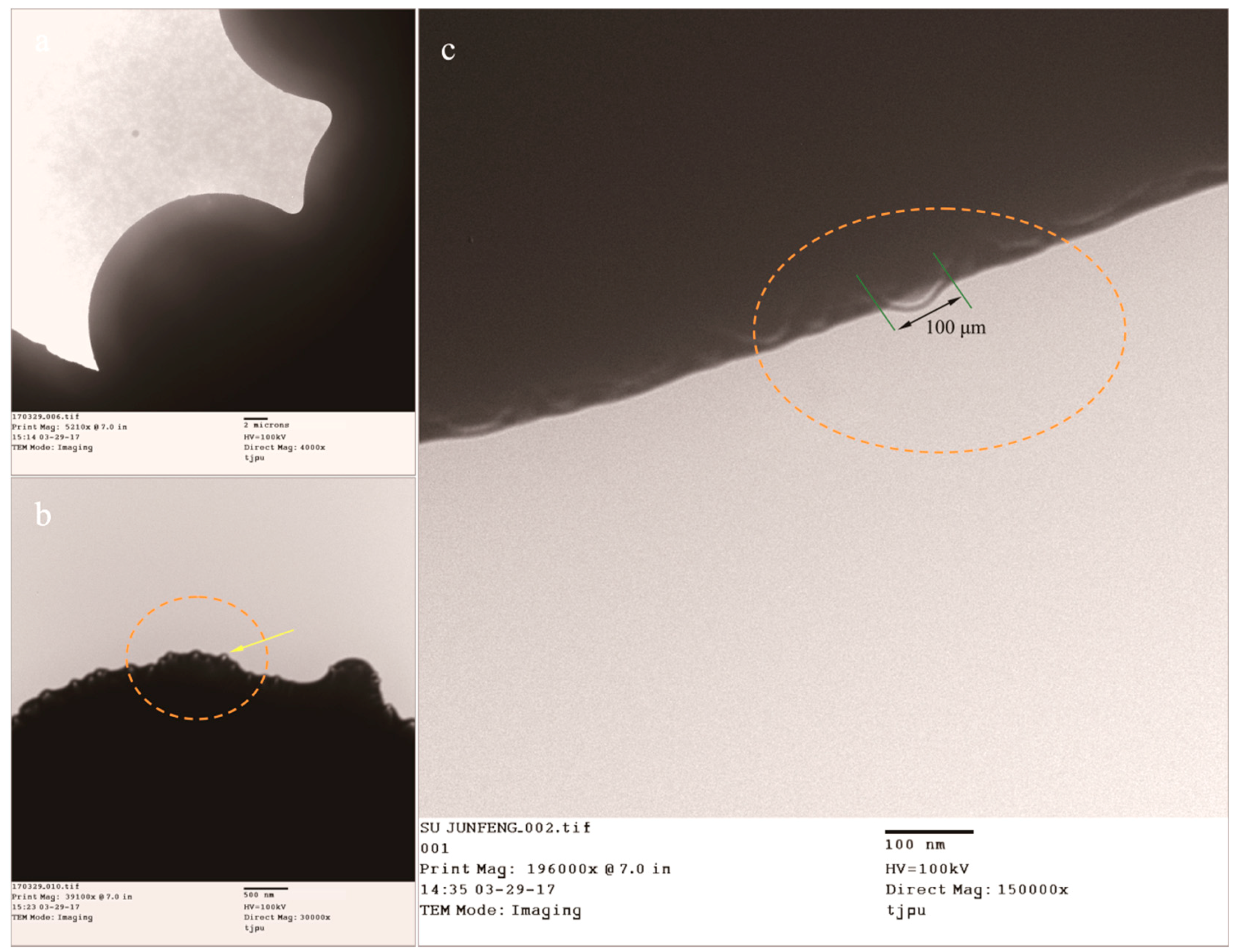 Nanomaterials 08 00364 g006 550
