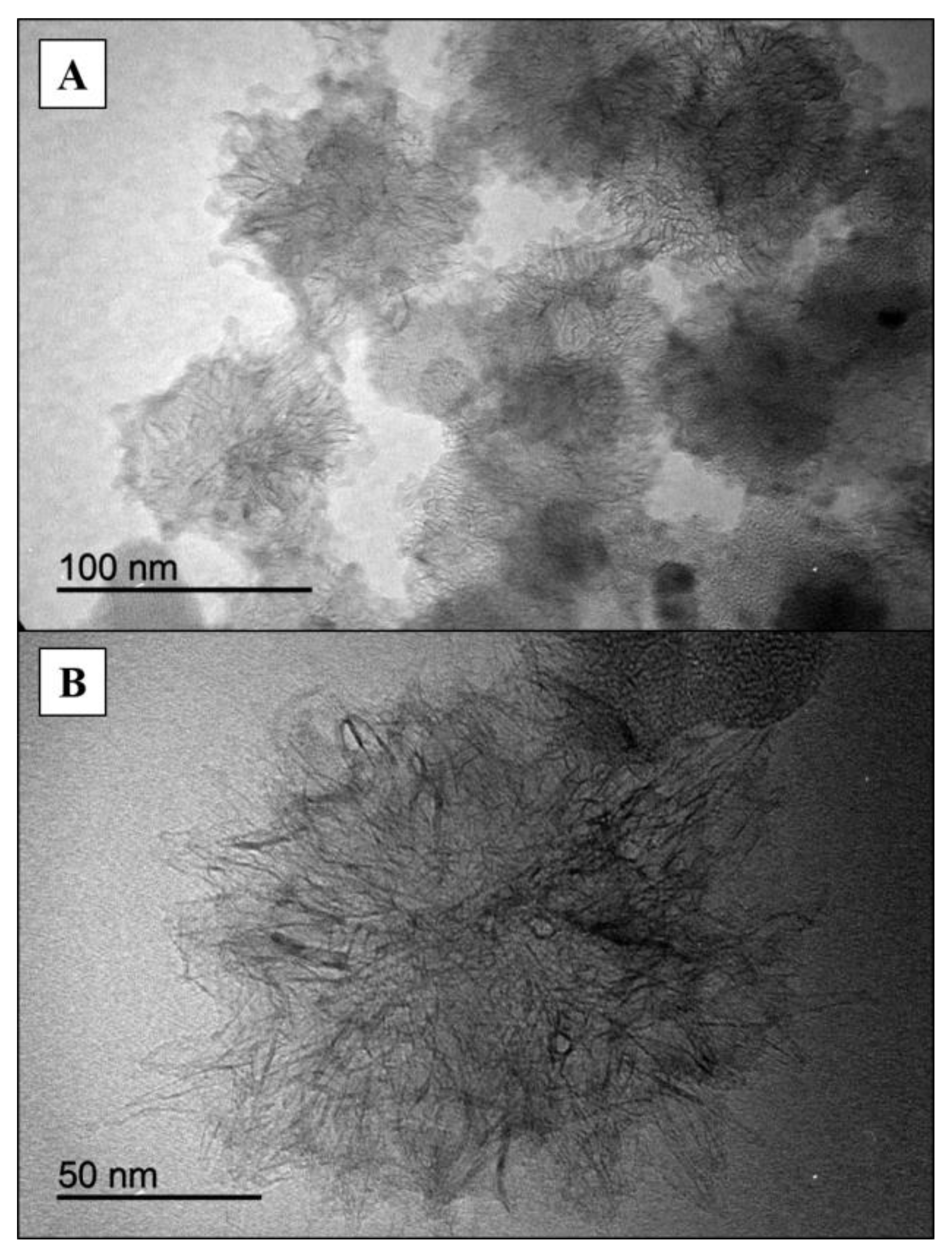 Nanomaterials 08 00370 g003
