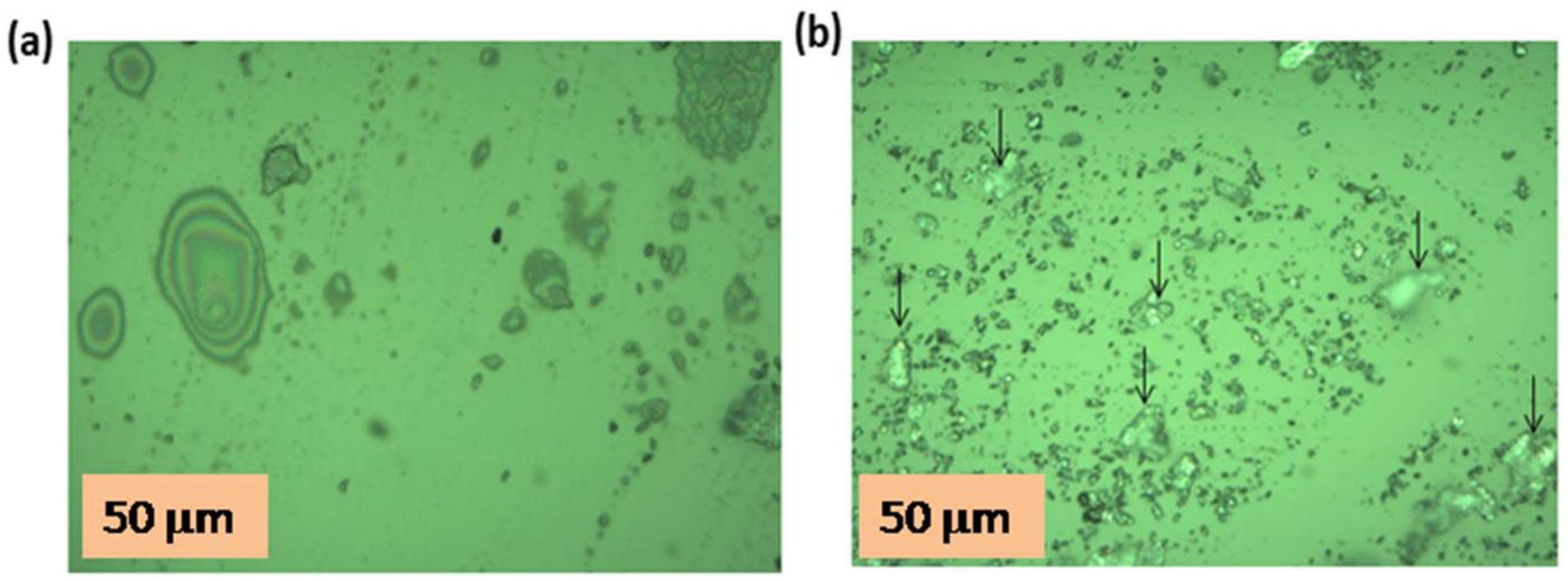 Nanomaterials 08 00383 g001