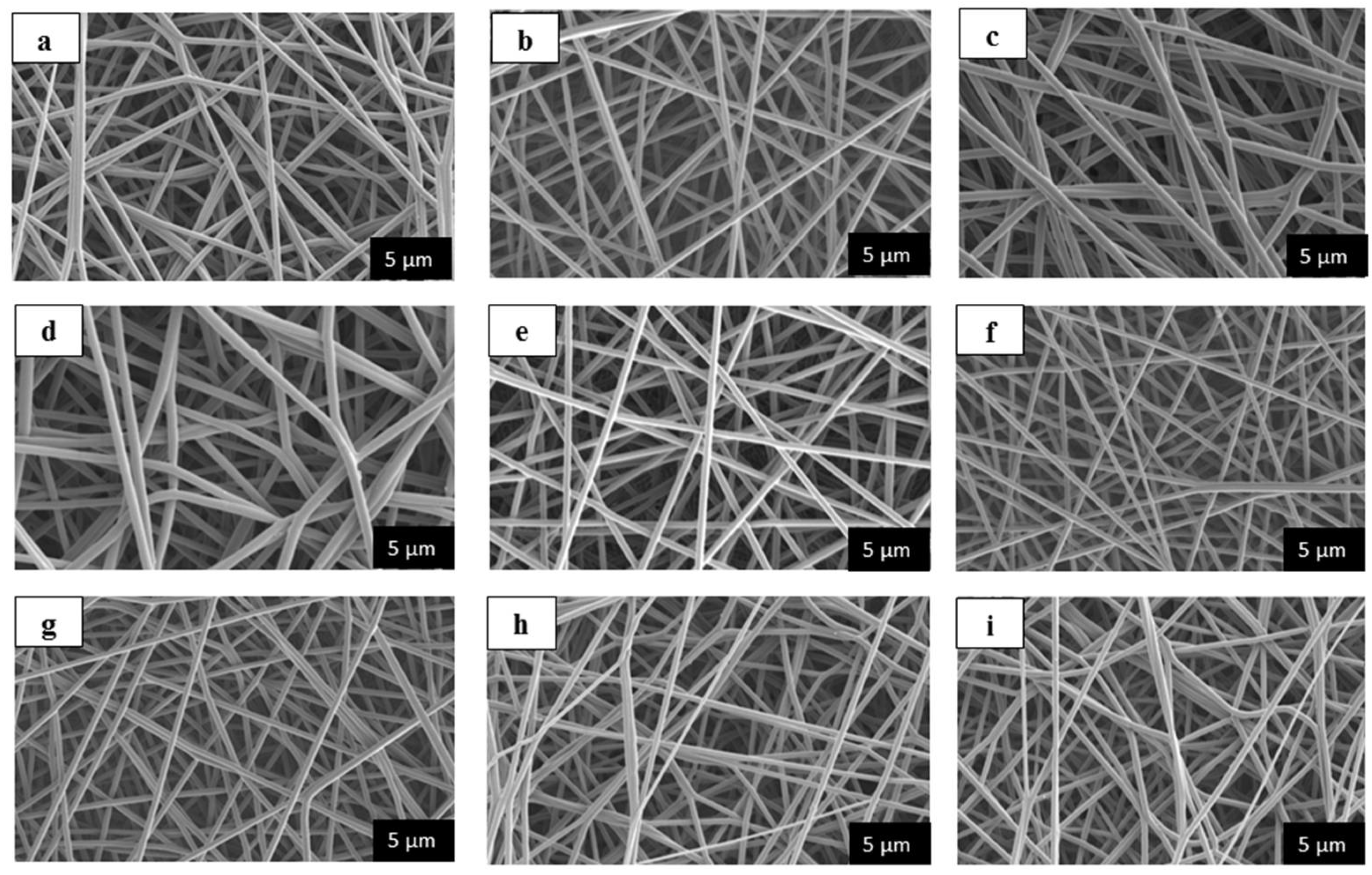 Nanomaterials 08 00383 g005