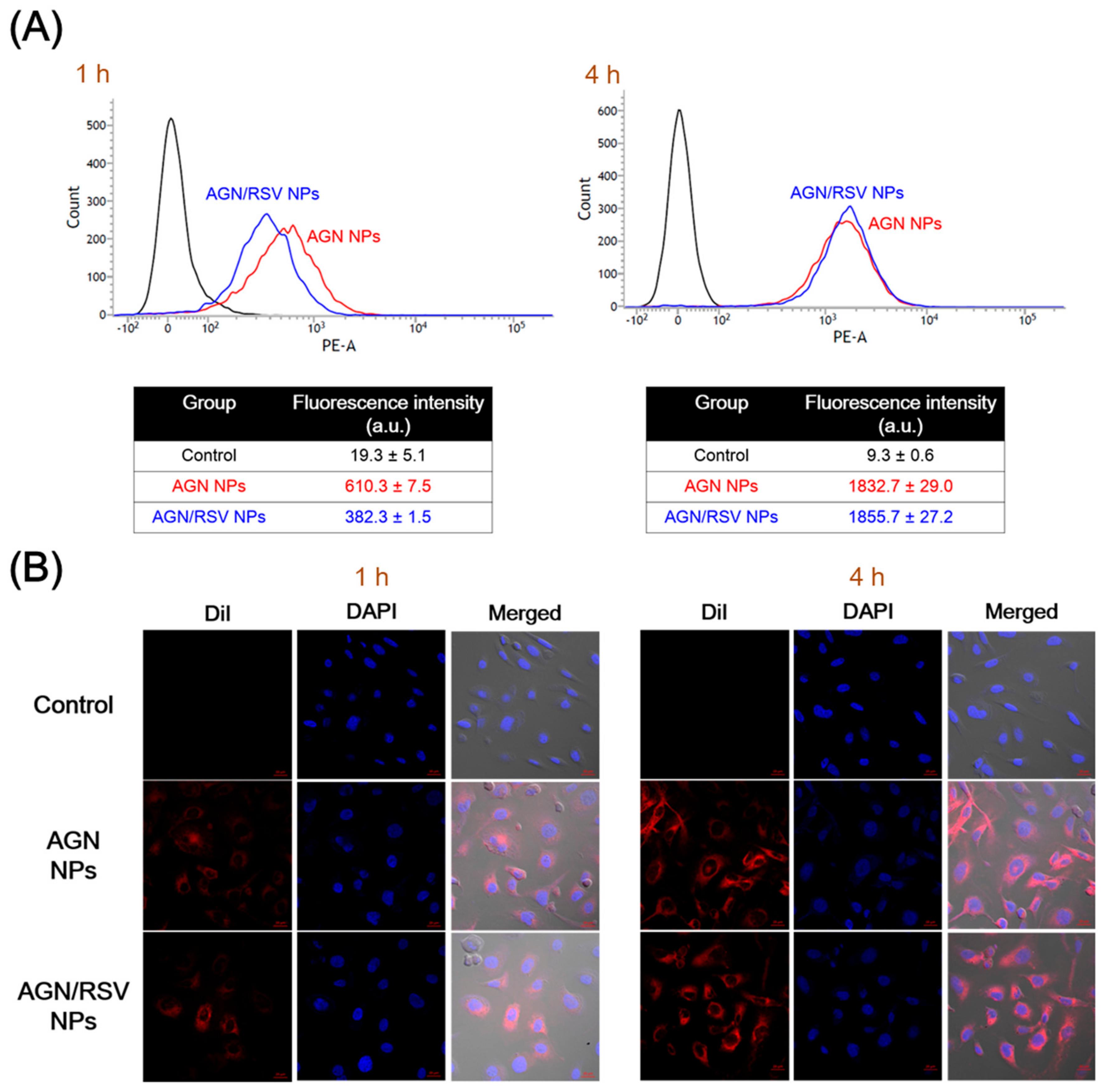 Nanomaterials 08 00384 g005 550