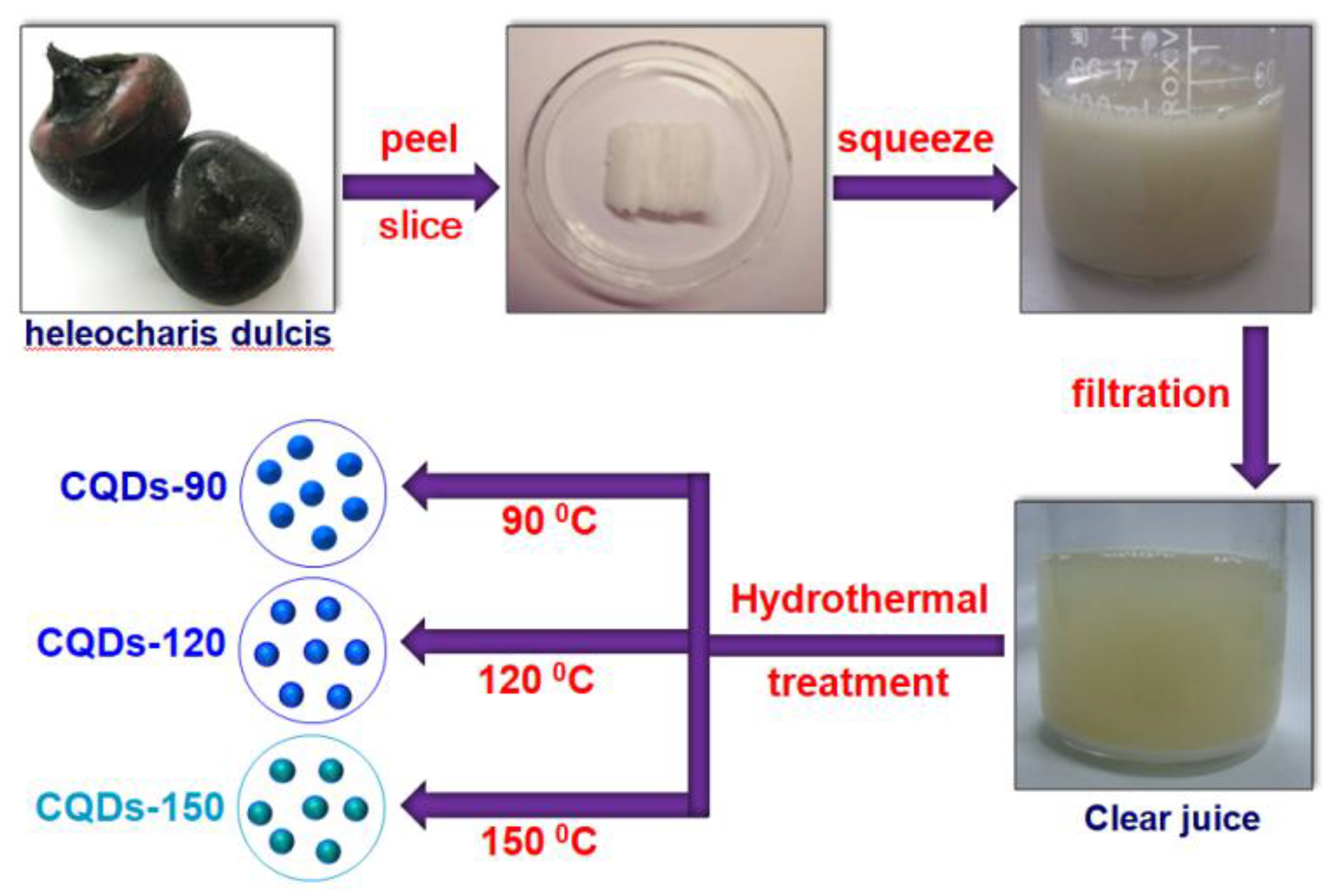 Nanomaterials 08 00386 sch001 Nanomaterials 08 00386 sch001