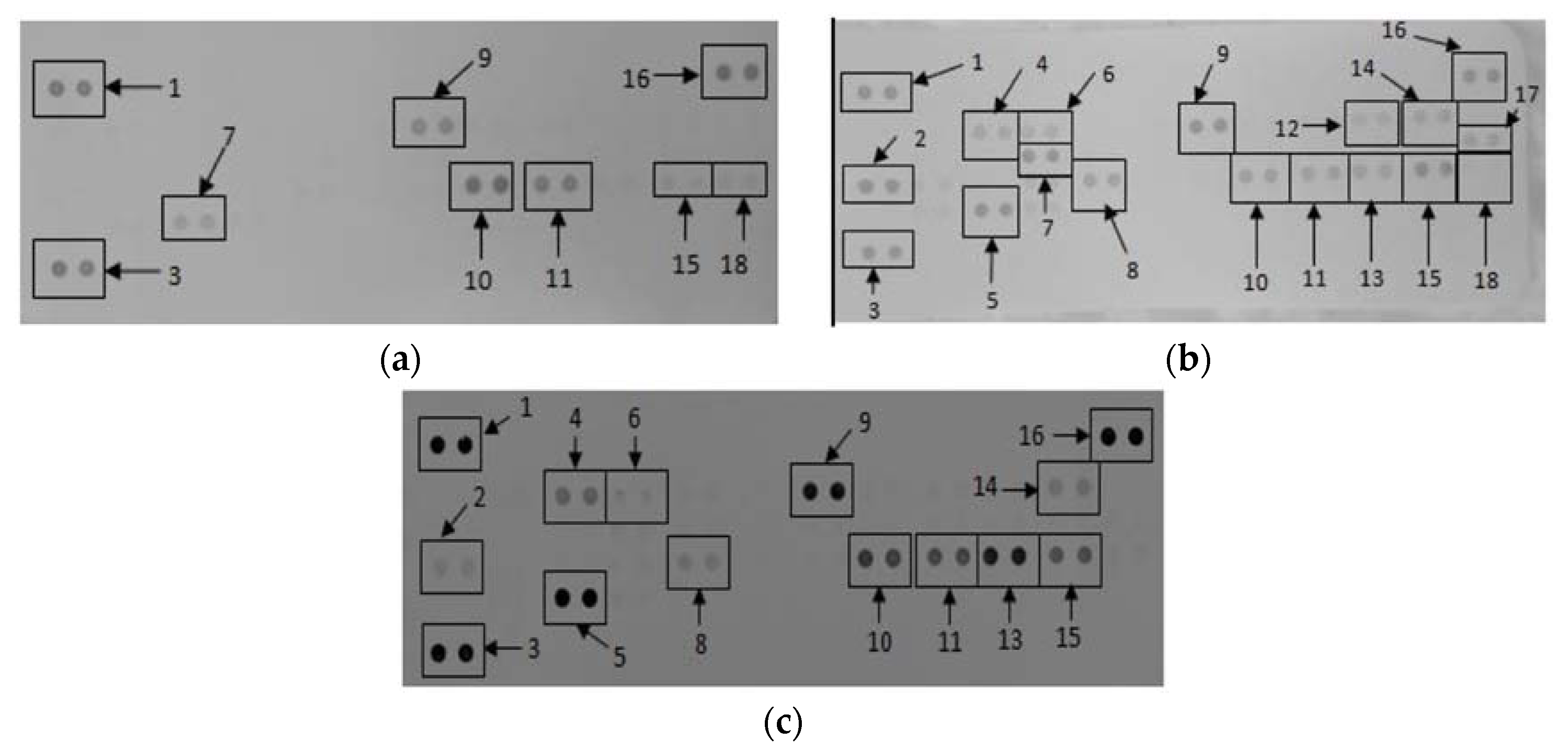 Nanomaterials 08 00388 g003