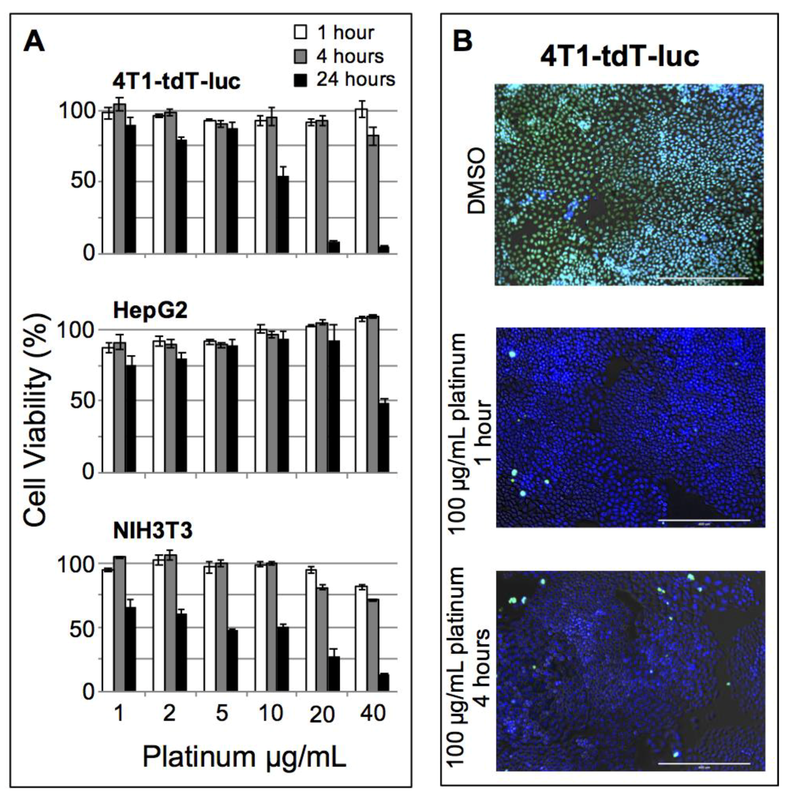 Nanomaterials 08 00410 g003