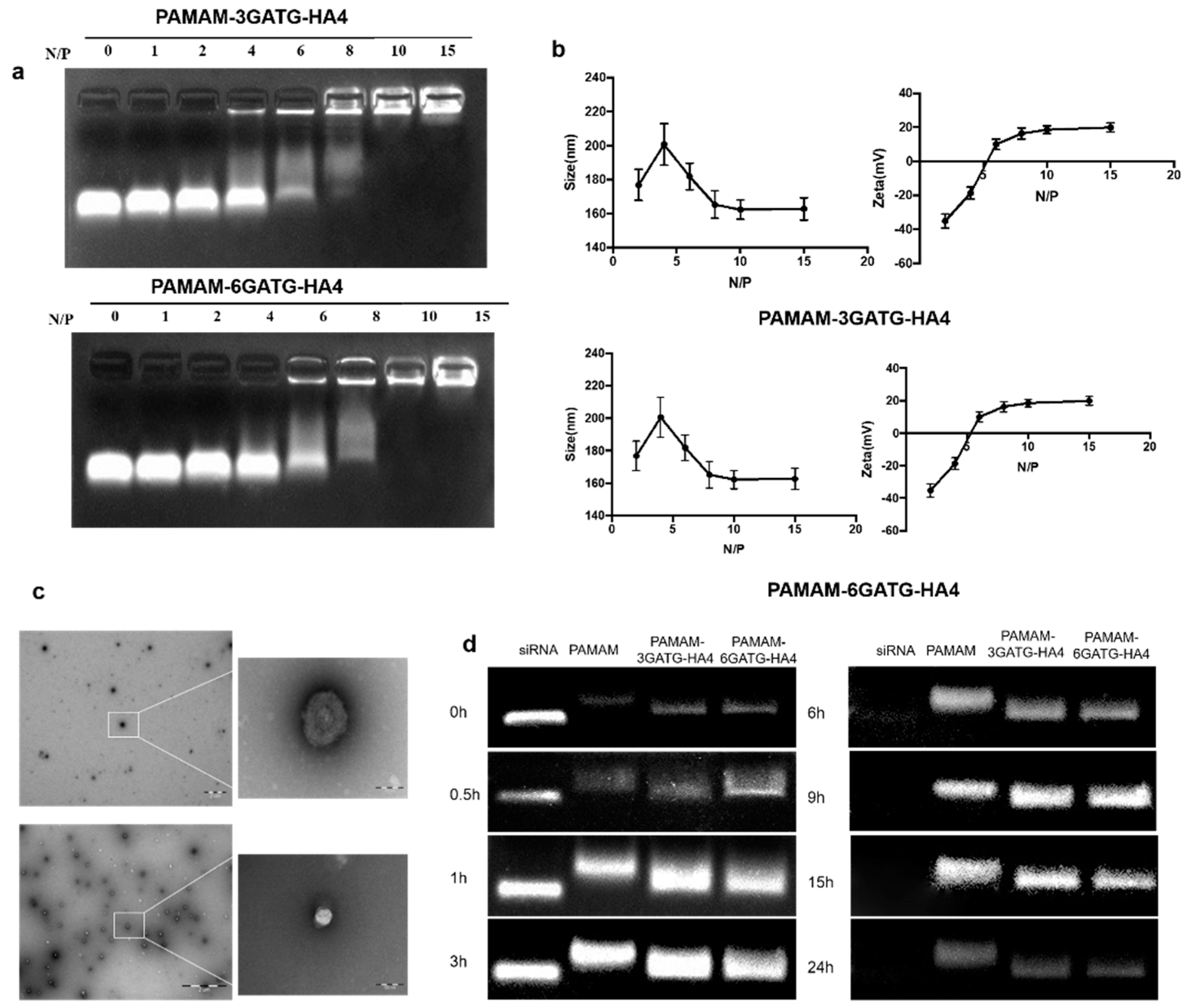 Nanomaterials 08 00433 g002