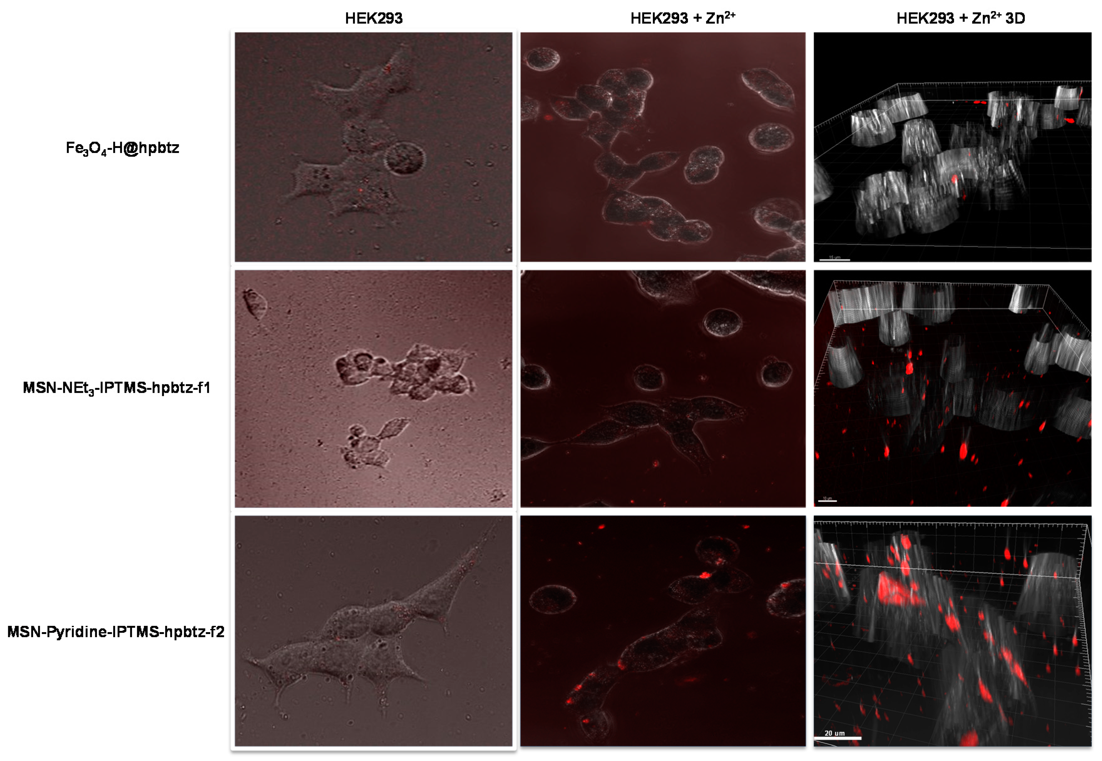 Nanomaterials 08 00434 g017 Nanomaterials 08 00434 g017