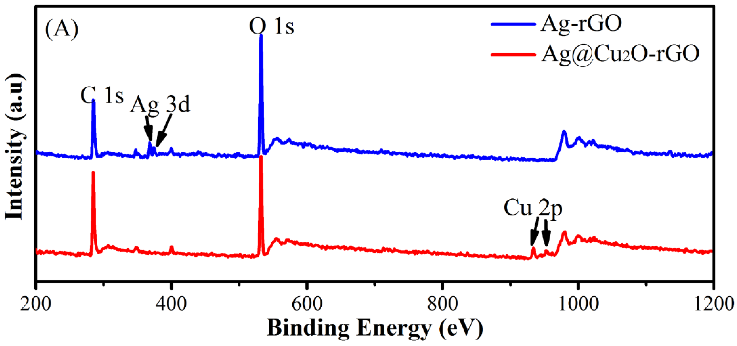 Nanomaterials 08 00444 g004a Nanomaterials 08 00444 g004a