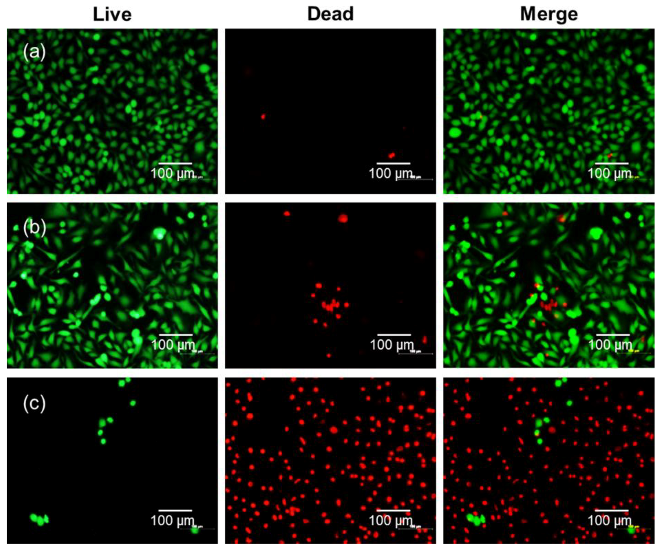 Nanomaterials 08 00445 g008