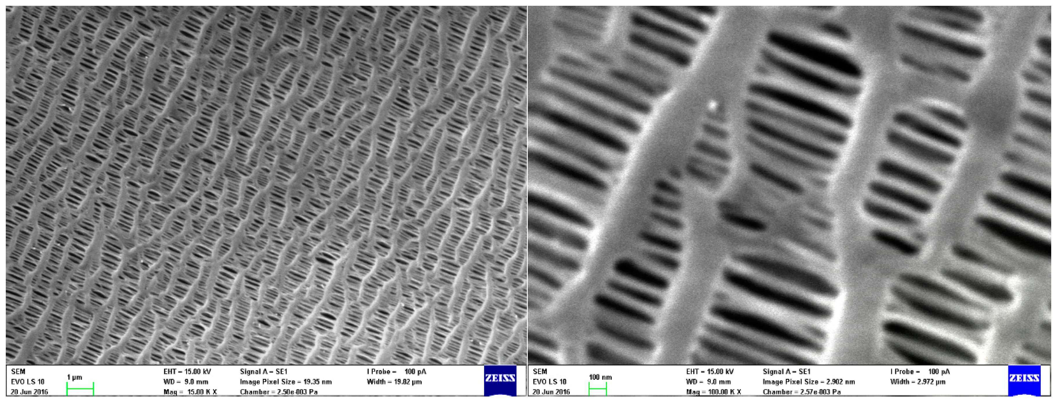 Nanomaterials 08 00447 g001