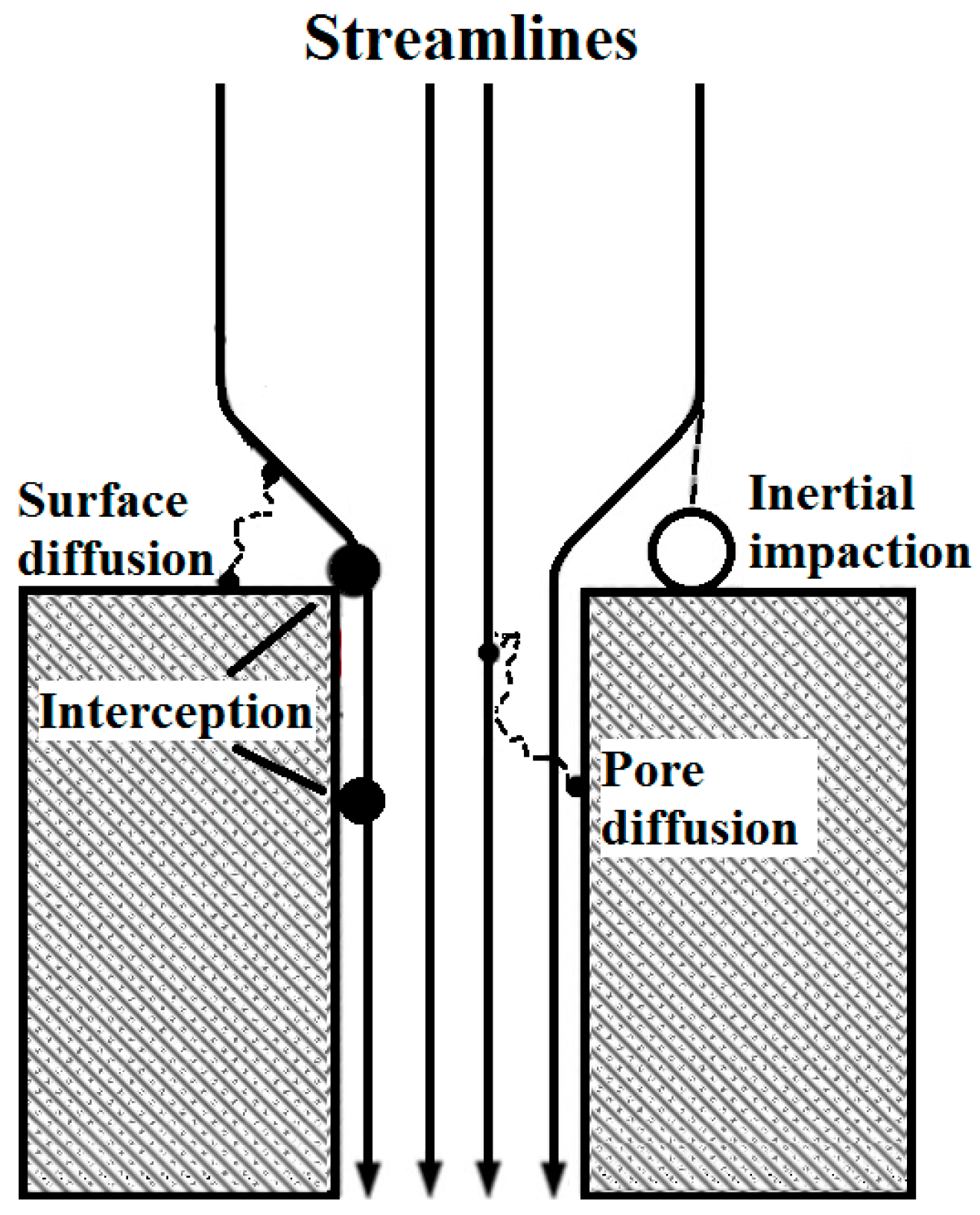 Nanomaterials 08 00447 g003