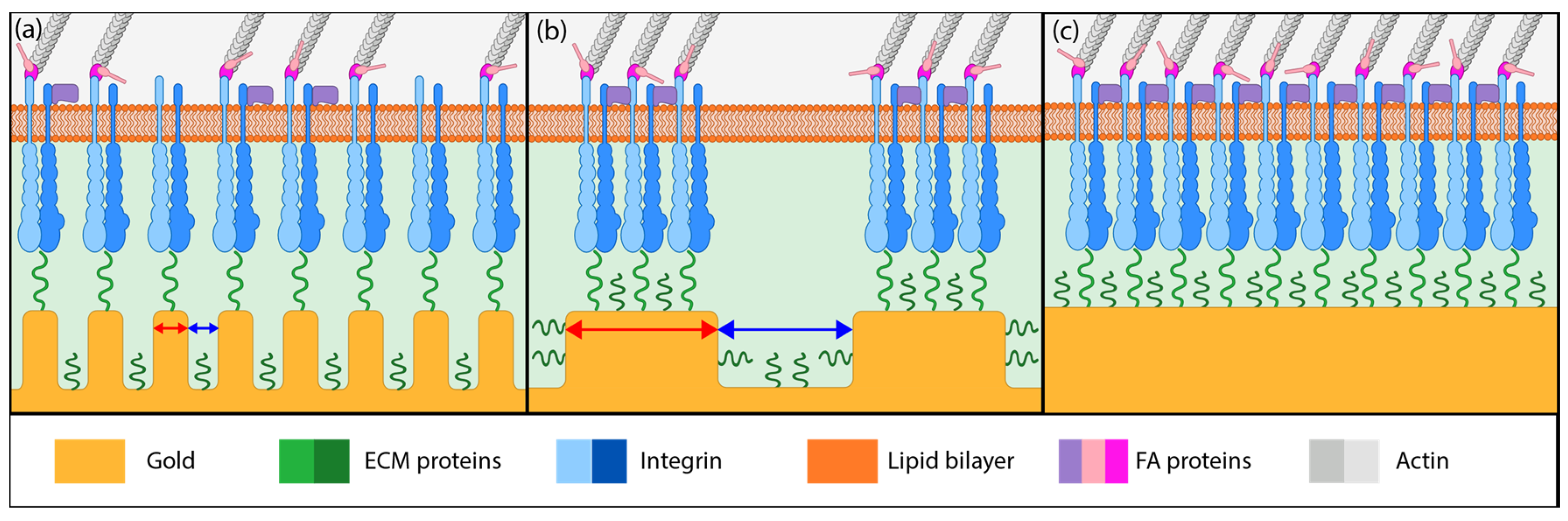 Nanomaterials 08 00452 g005