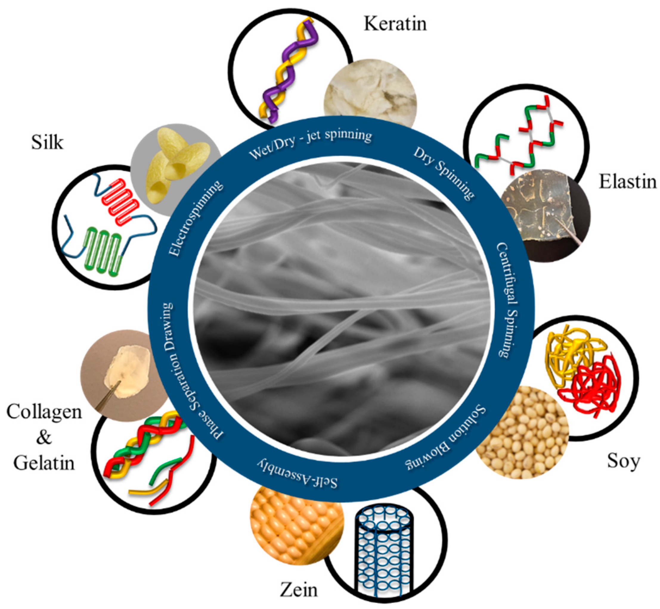 Nanomaterials Free FullText ProteinBased Fiber Materials in