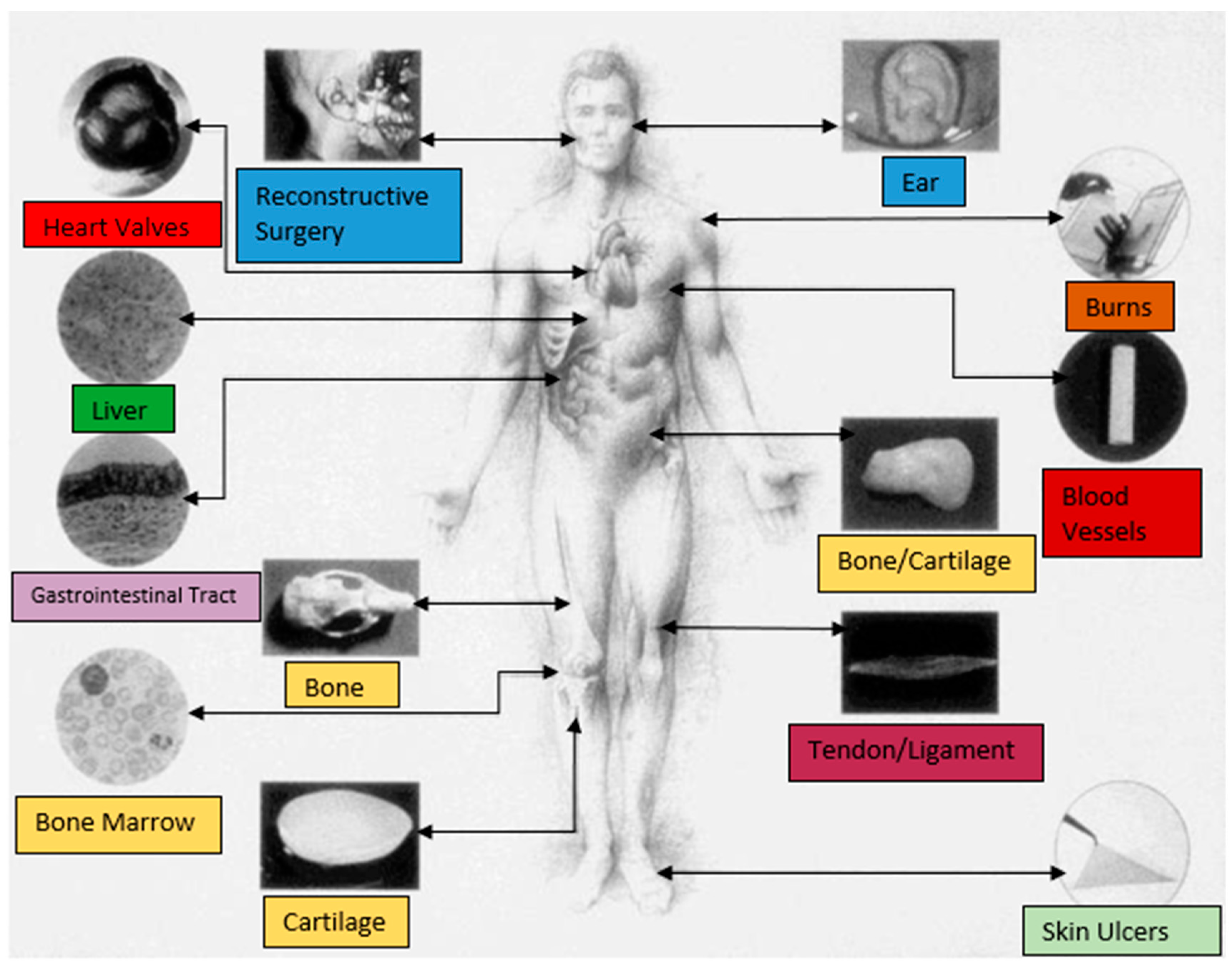 Nanomaterials 08 00457 g006