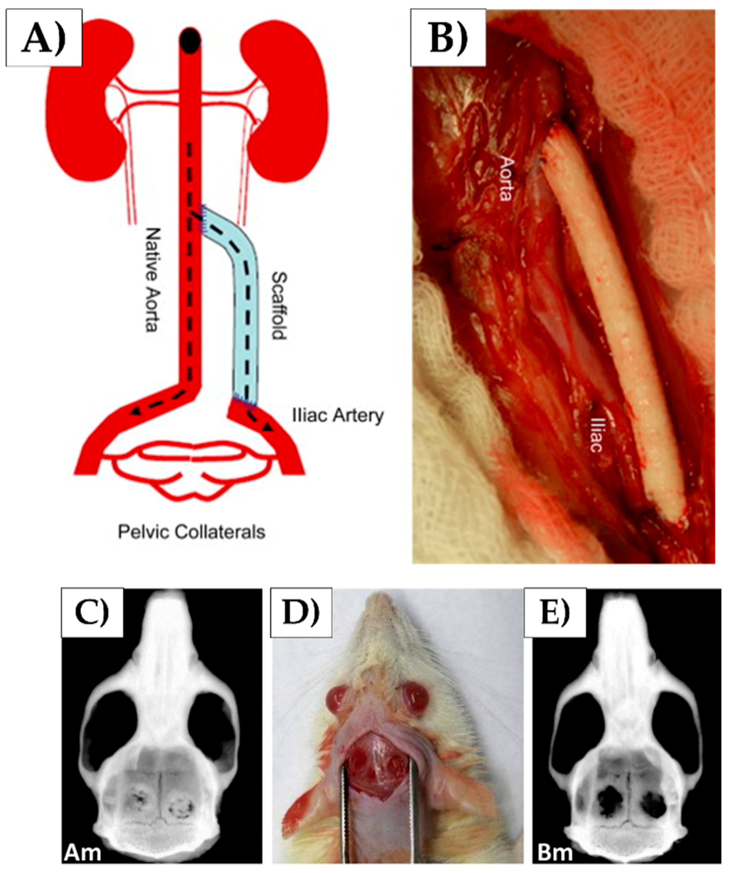 Nanomaterials 08 00457 g007