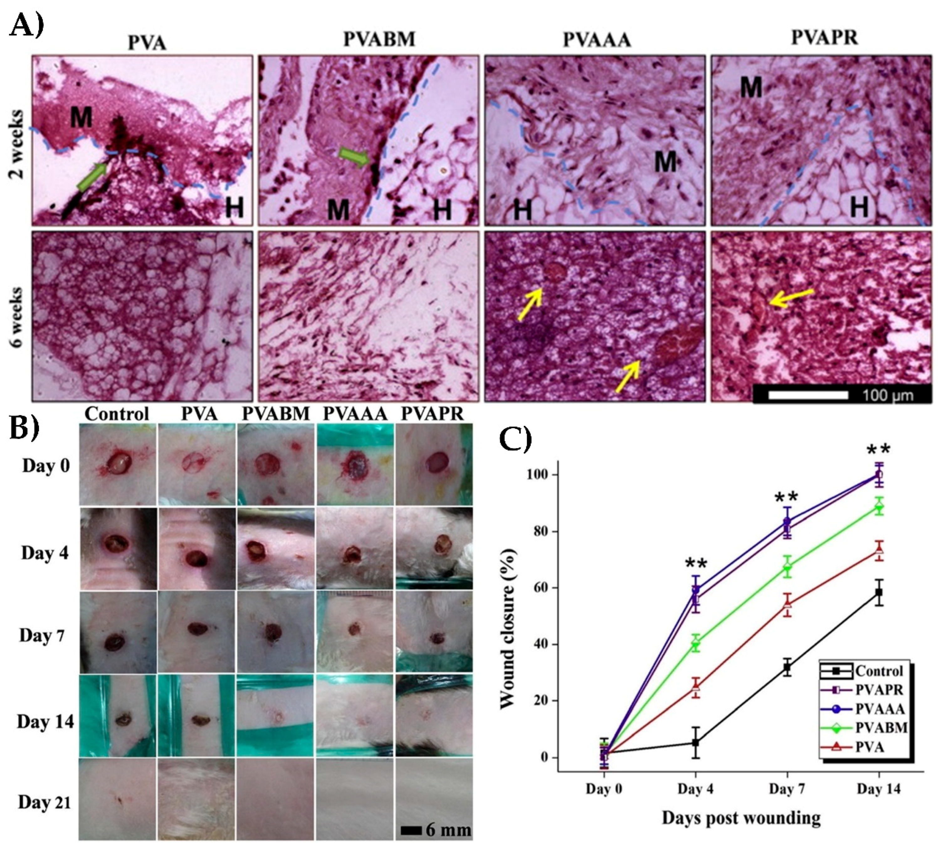 Nanomaterials 08 00457 g009
