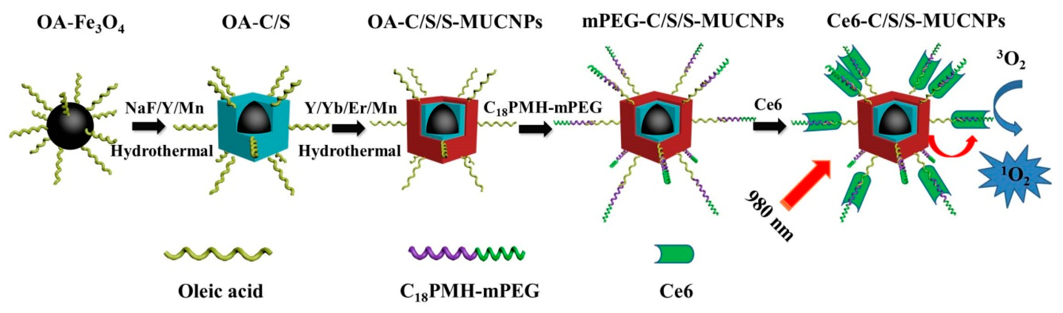 Nanomaterials 08 00466 sch001 Nanomaterials 08 00466 sch001