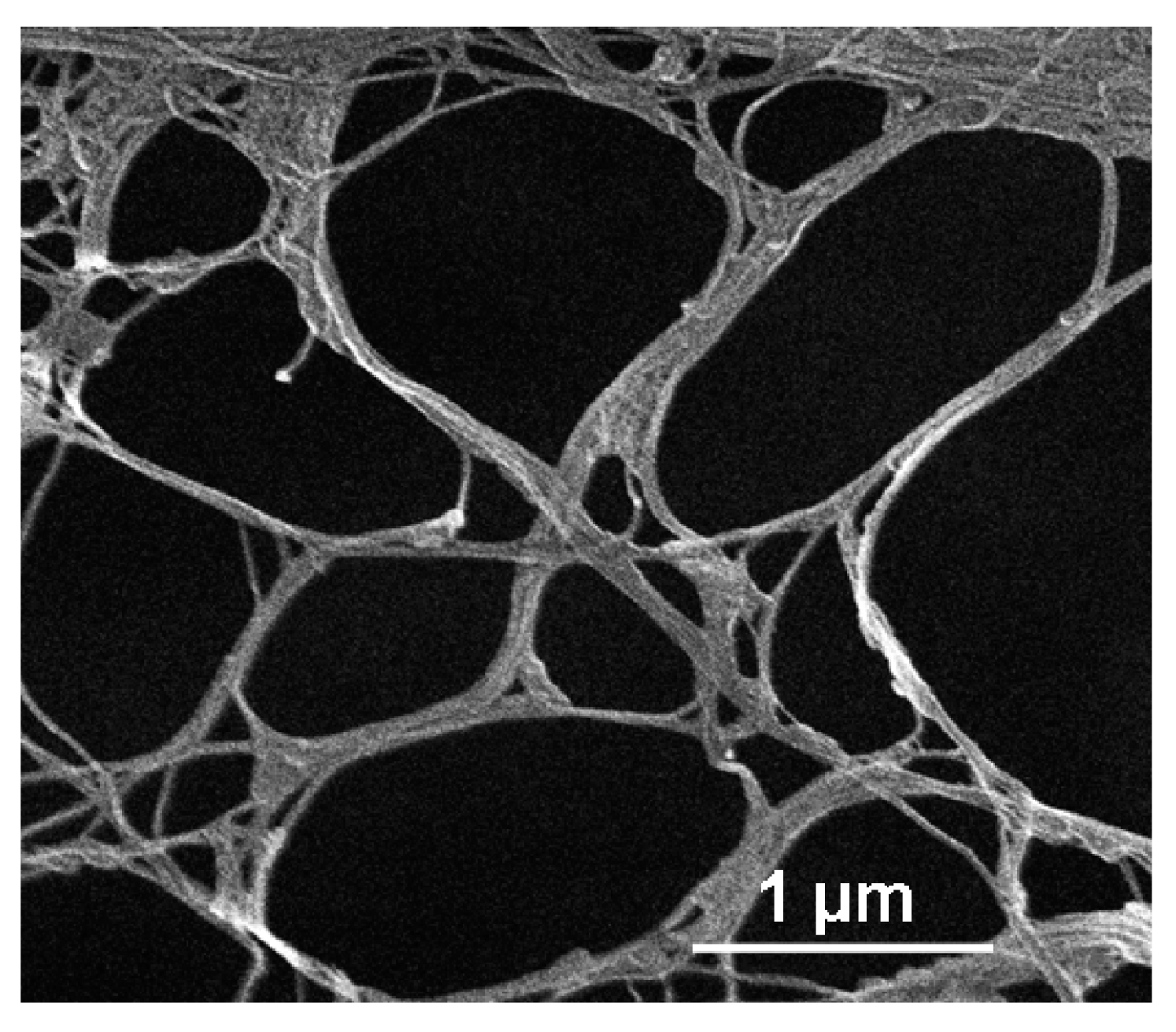 Nanomaterials 08 00467 g003