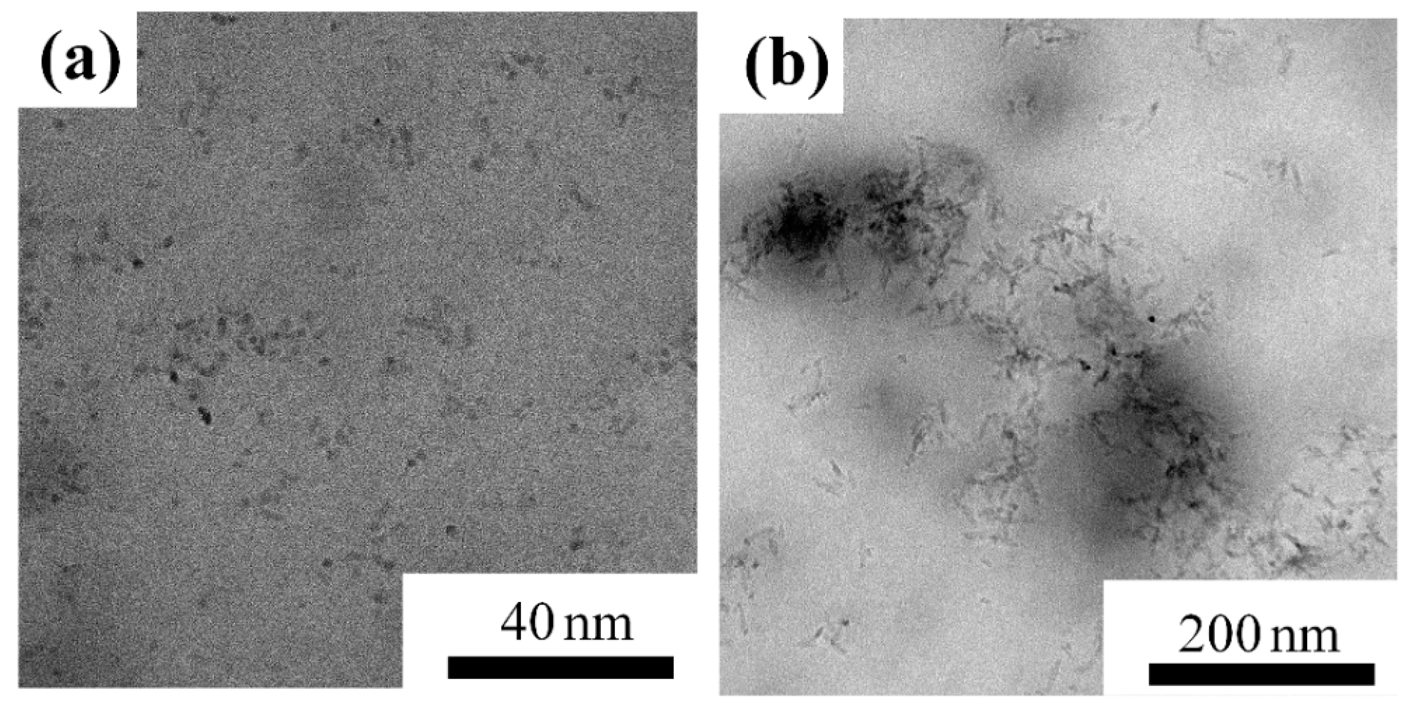 Nanomaterials 08 00476 g004